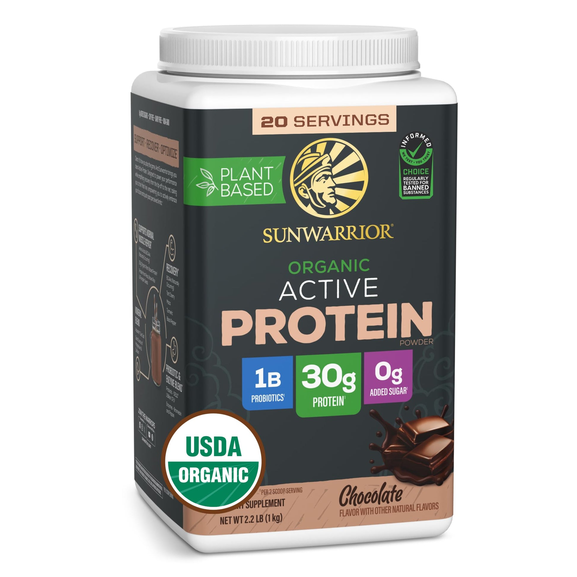 Sunwarrior Organic Plant Based Protein Powder | Vegan Organic Protein Powder with BCAA Amino Acids Plus Recovery Minerals & Botanicals | Non-GMO Soy Dairy & Gluten Free Sunwarrior buy supplements canada