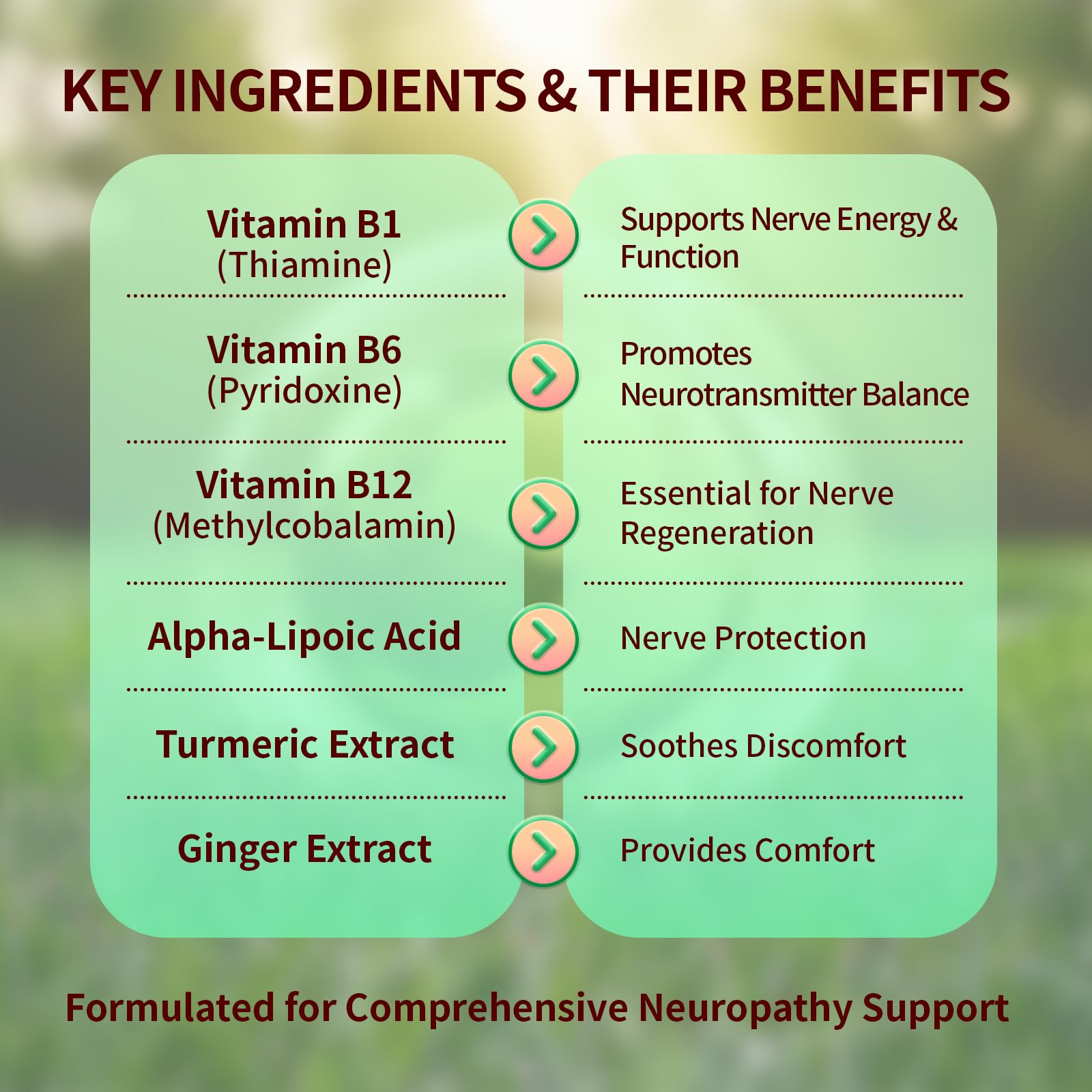 Sugar Free Neuropathy Support Gummies for Nerve – Enhanced Nerve Health, Regeneration, Cognitive Support with Vitamin B1, B6, B12, Magnesium, ALA, Turmeric, CoQ10 & More Warmbioder buy supplements canada