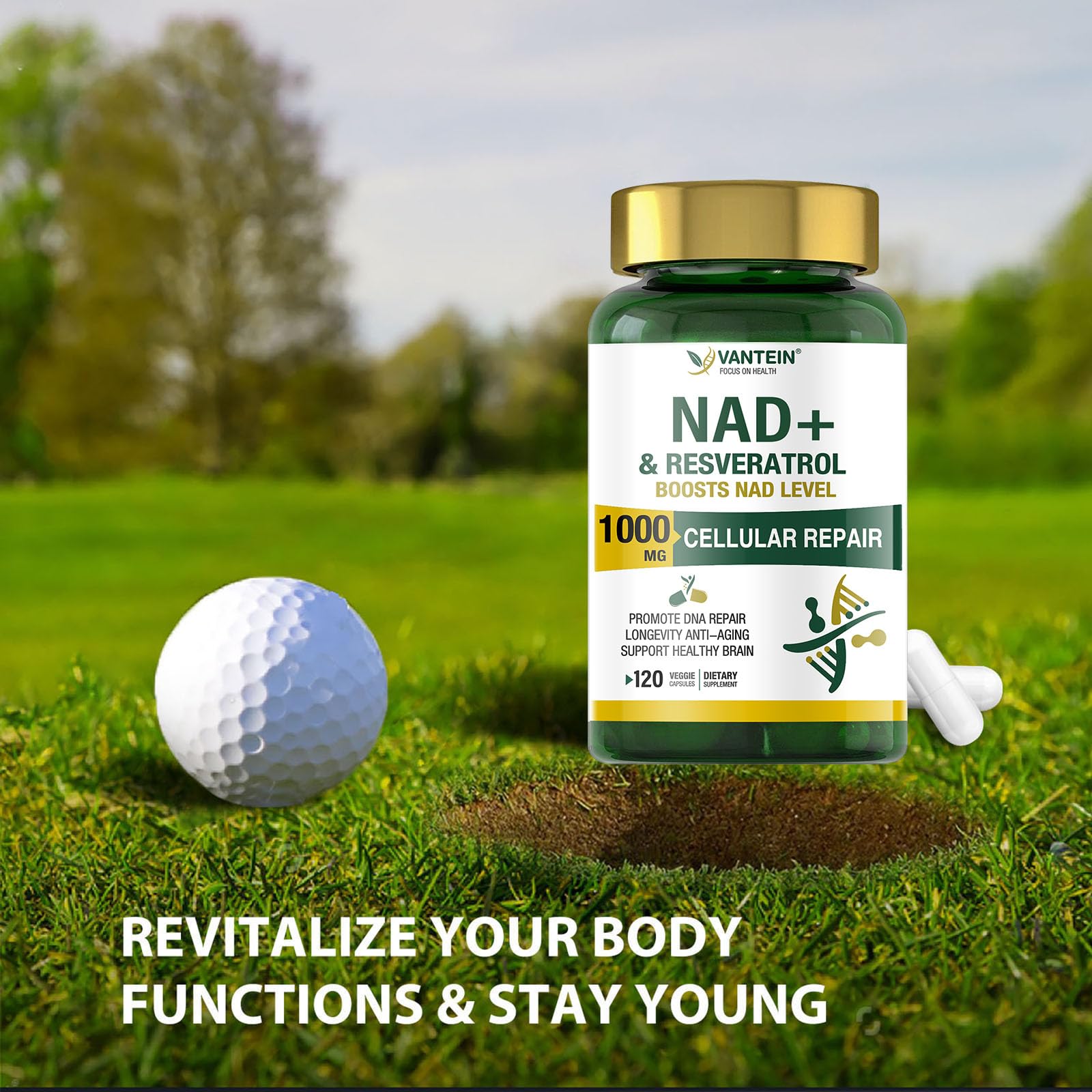TEATTY NAD+ & Resveratrol Supplement - NMN Alternative with 120 Capsules, Anti-Aging Cellular Support, Energy & Longevity Booster, DNA Repair Formula TEATTY buy supplements canada