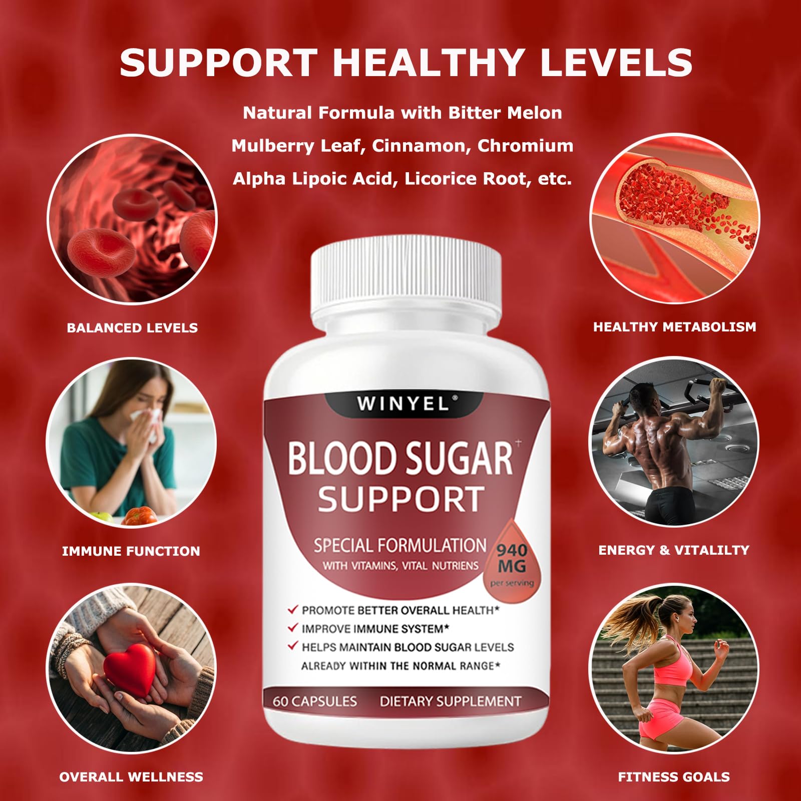 WINYEL Blood Sugar Complex Supplement - with Cinnamon, Bitter Melon, Chromium, Mulberry, Alpha Lipoic Acid, 60 Capsules WINYEL buy supplements canada