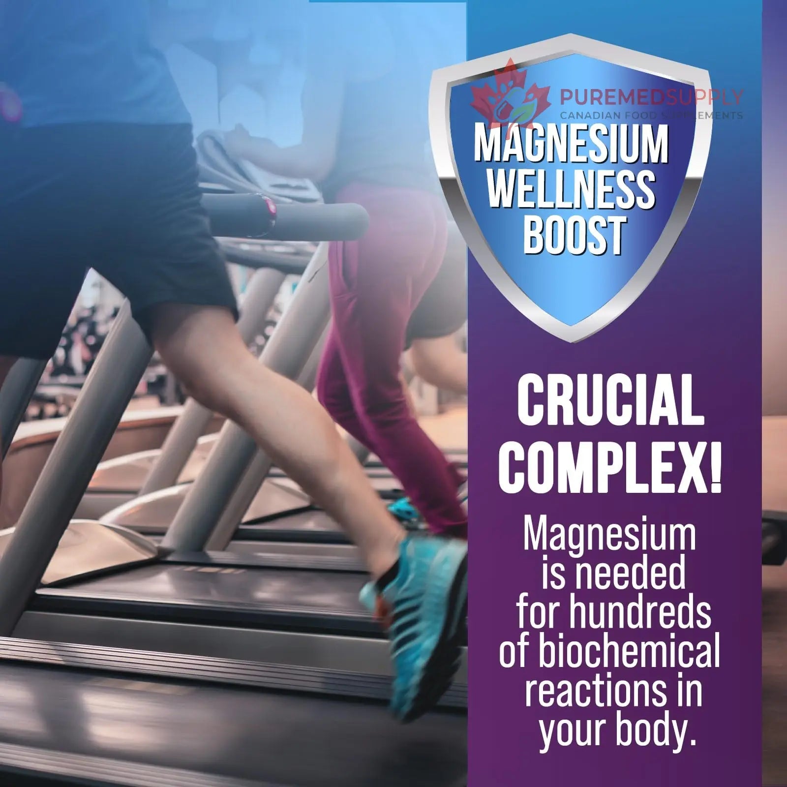 Magnesium Complex Capsules - 500mg per Serving Magnesium - High Absorption Chelated Mineral Supplement - with Oxide, Glycinate, Malate, Citrate for Muscle Bone and Heart Health Support - 120 Capsules Health Nutrition Naturals buy supplements canada