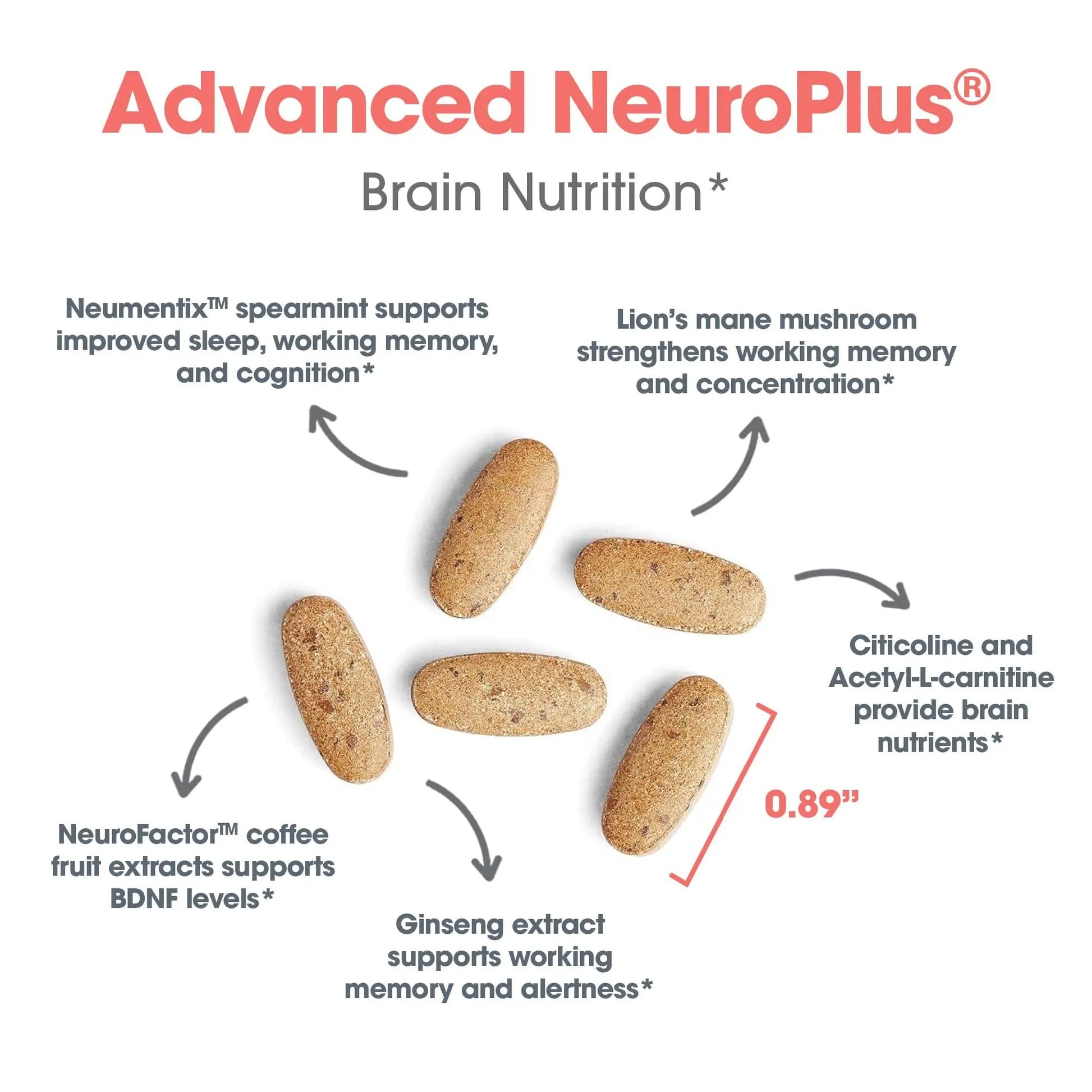 Allergy Research Group Advanced NeuroPlus - Nootropic Formula with Spearmint Extract, Lions Mane & Citicoline - Supports Working Memory Focus & Cognitive Function - 30 Servings - 90 Tablets Allergy Research Group buy supplements canada