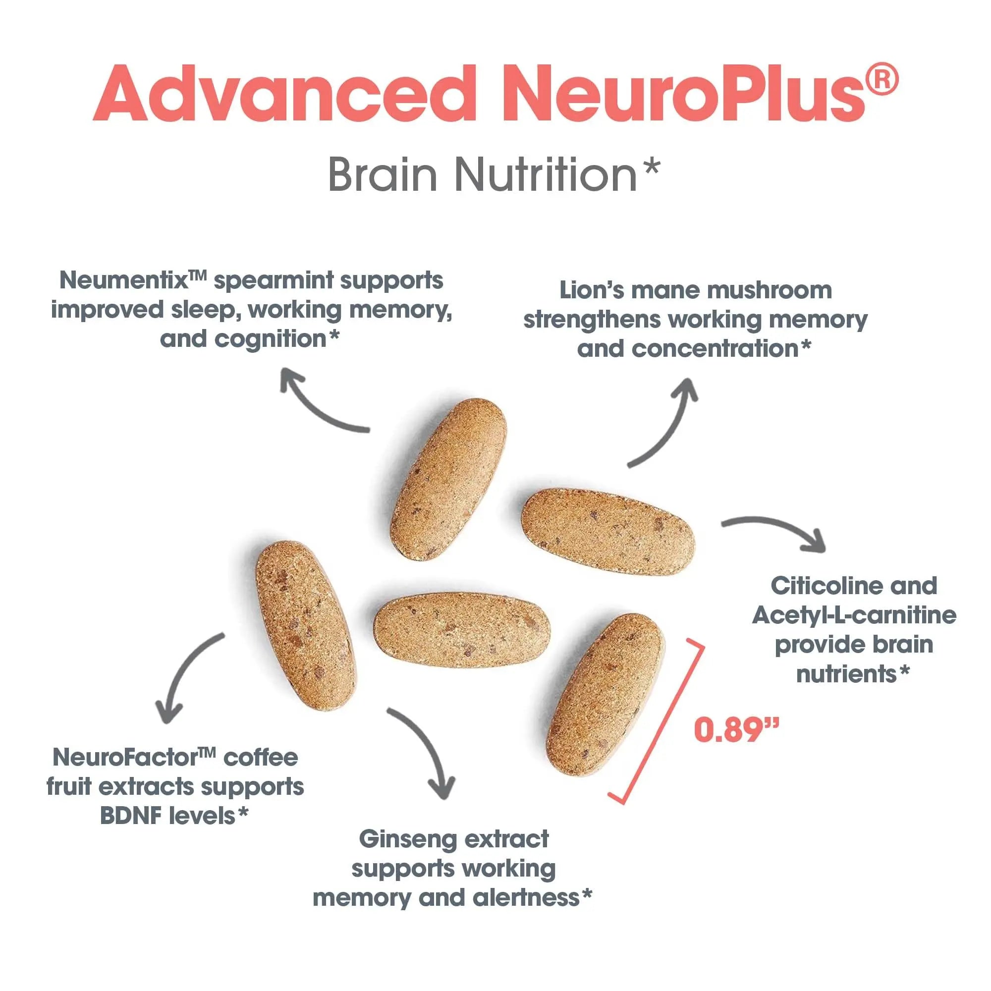 Allergy Research Group Advanced NeuroPlus - Nootropic Formula with Spearmint Extract, Lions Mane & Citicoline - Supports Working Memory Focus & Cognitive Function - 30 Servings - 90 Tablets Allergy Research Group buy supplements canada