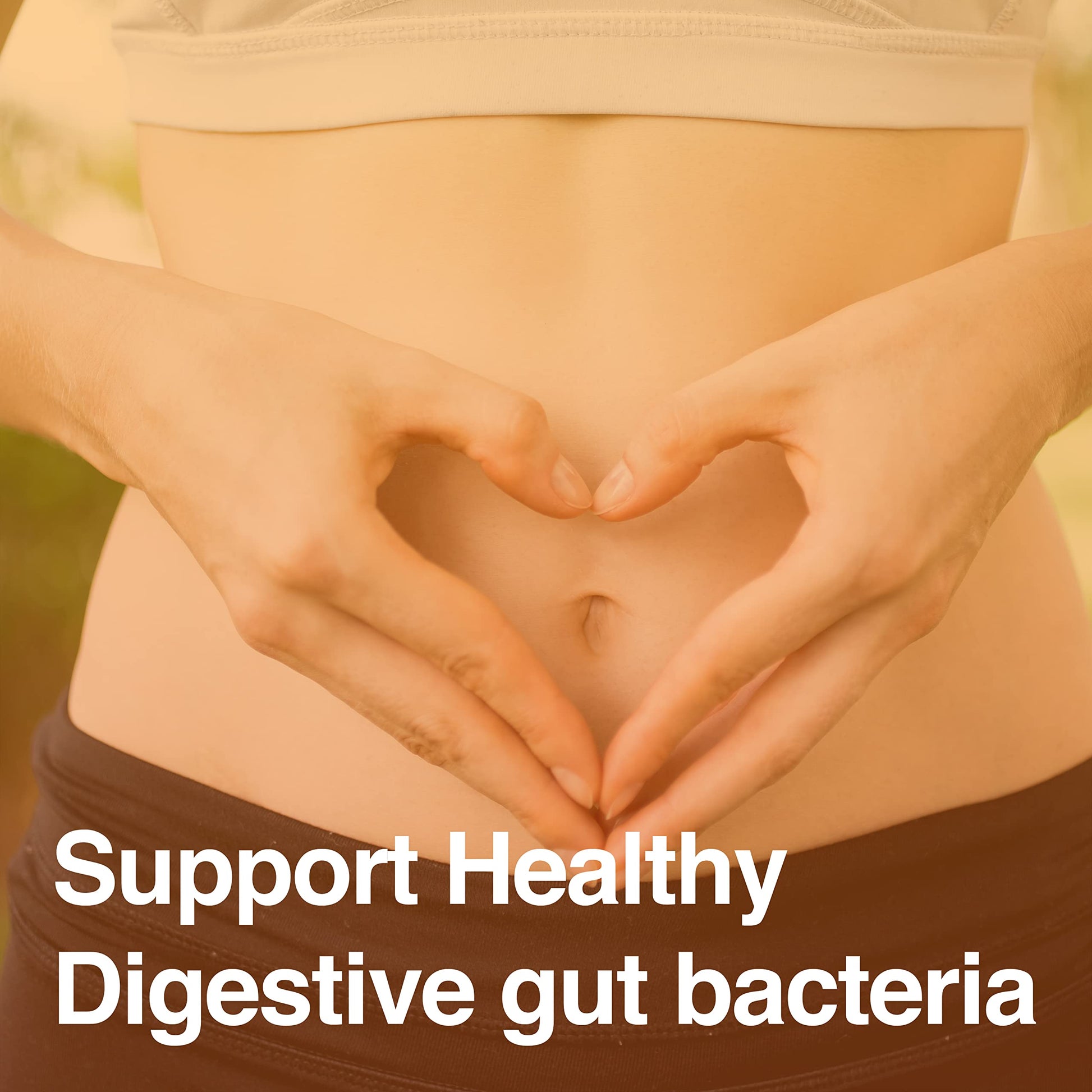 Vatellia Life New from Eaters Digest | Prebiotic | Probiotic | Digestive Support | Gut Soothing | Healthy Gut Lining | Max Nutrient Absorption Vatellia Life buy supplements canada