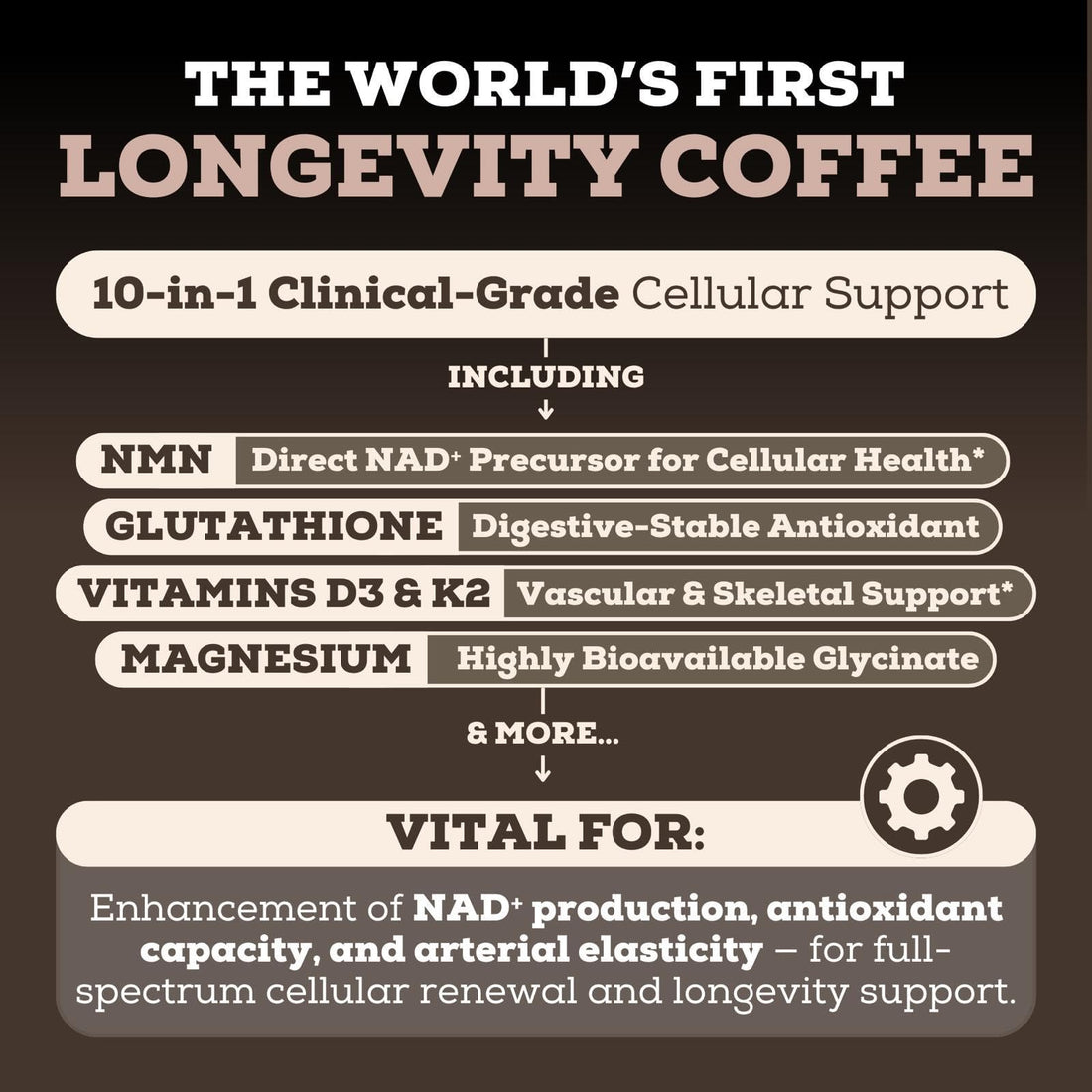 Black Forest Longevity Mix Liquid NAD+ Alternative Mocha Coffee 10-in-1 with NMN 250mg, Glutathione 250mg, TMG, Magnesium Glycinate, Vitamins D3 K2 C B12, High Polyphenol Cocoa, 30 Servings Black Forest buy supplements canada