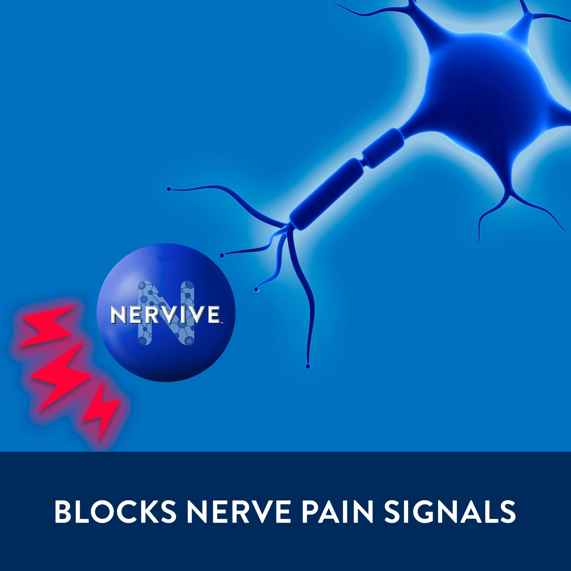 Nervive Pain Relieving Spray, Lidocaine Spray, Nervive Pain Relief, Lidocaine Topical, Foot Pain, Leg Pain, Hand Pain, Max Strength Formula, for Hard to Reach Areas, 4.5oz Nervive buy supplements canada