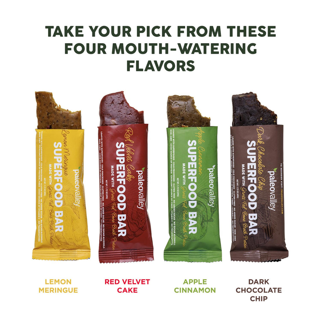Paleovalley Superfood Bars – Apple Cinnamon– 10 Pack – 9g Protein per Bar – Gluten-Free, Grain-Free, Paleo, Non-GMO – On-the-Go Snack Paleovalley buy supplements canada