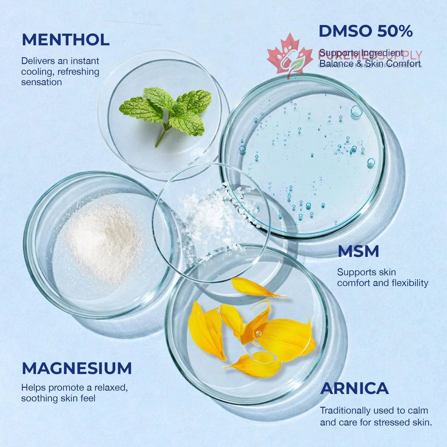 PURESKIN DMSO Relief Cream – Pharmaceutical Grade Fast-Absorbing Cooling Formula for Active Lifestyles – Lightweight Cream with Arnica, MSM, Magnesium, Menthol & Aloe, 4 oz PURESKIN buy supplements canada