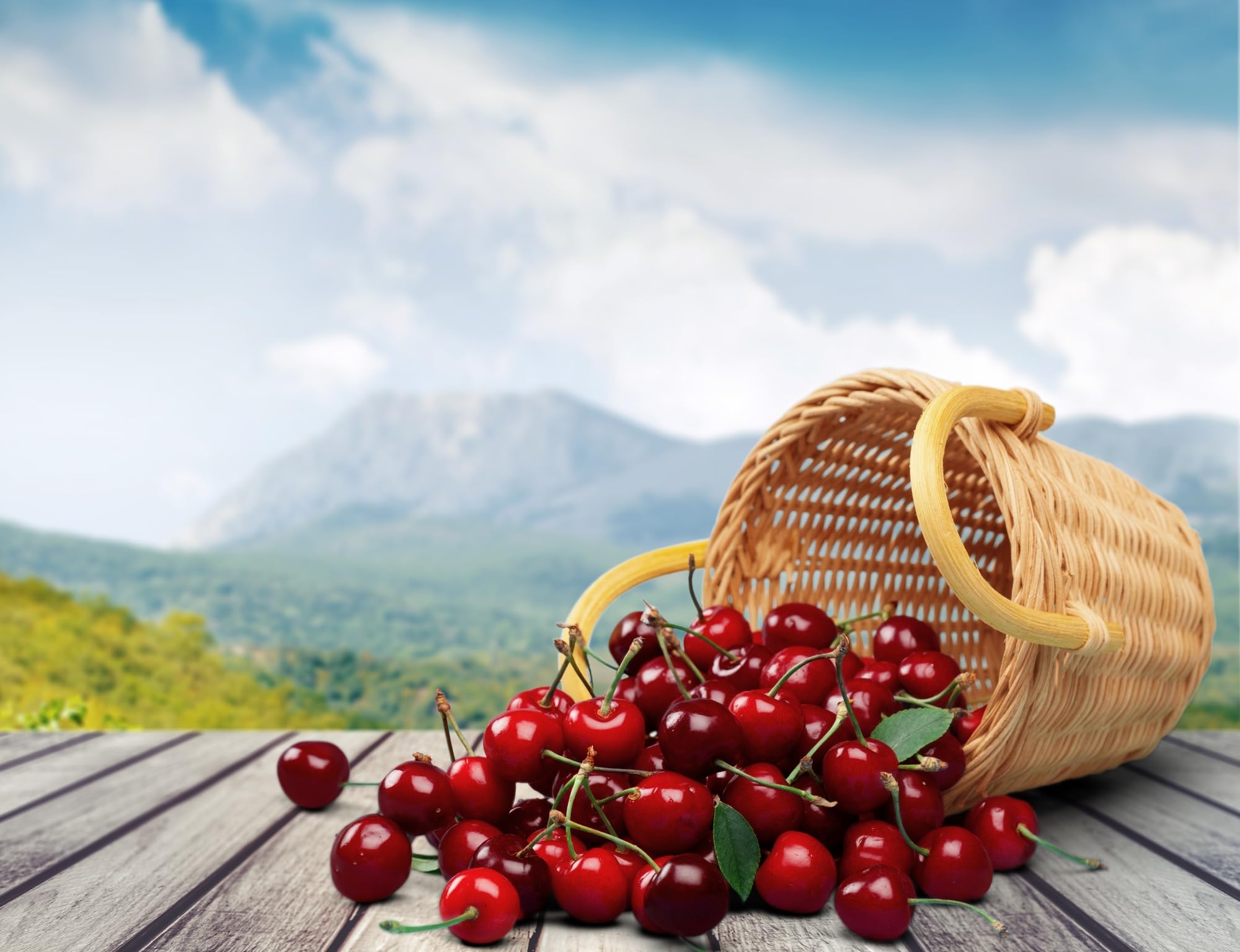 Gout and You Tart Cherry Extract | 3000 mg Per Serving | 90 Vegetarian Capsules | Gluten-Free Gout and You buy supplements canada
