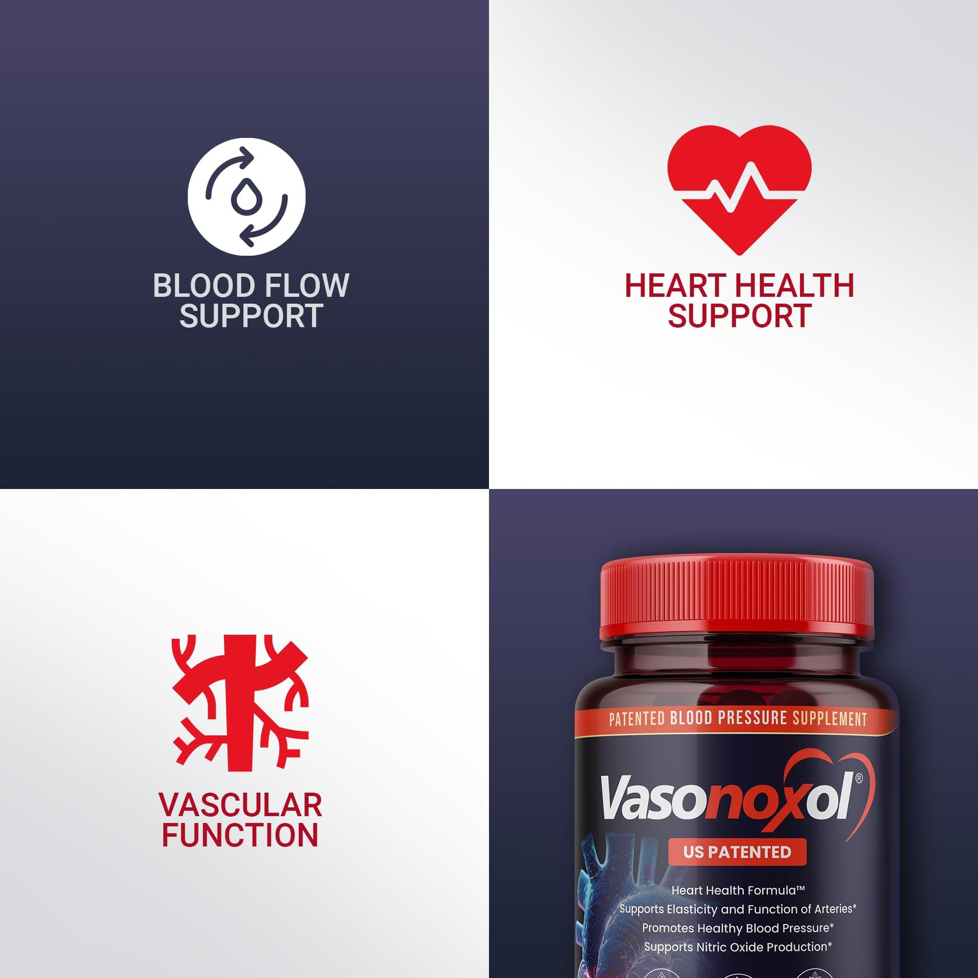 Vasonoxol U.S. Patented Nitric Oxide Supplement for Blood Pressure Support 2880mg - Physician Formulated Vascular Health Formula with L-Arginine & L-Citrulline - Vegan, Non-GMO (120 Capsules) Panoxol buy supplements canada