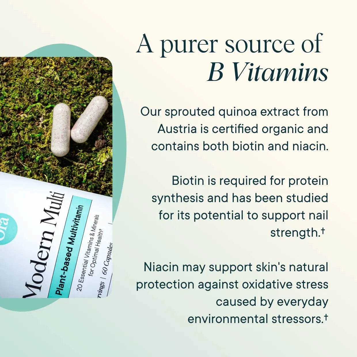 Ora Organic Plant Based Multivitamin for Women and Men, Bluelight Protection - Brain, Eye, Energy, Immune, Skin, Hair, Heart Ora Organic buy supplements canada