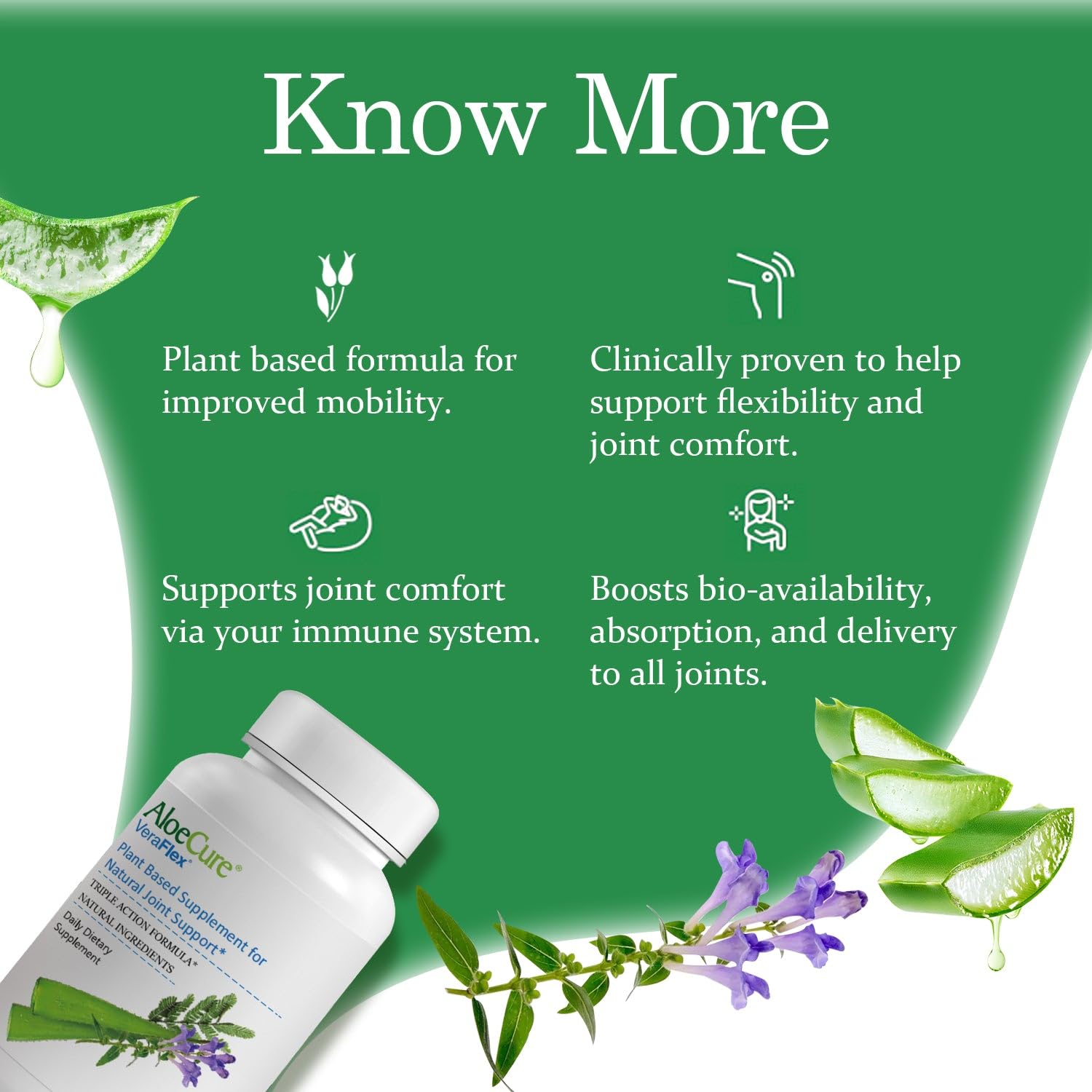 AloeCure VeraFlex Natural Joint Health, 60 Capsules, Clinically Tested Natural Plant-Based Formula to Support Comfort, Mobility and Flexibility - Featuring Organic Aloe Vera, 3-Pack AloeCure buy supplements canada