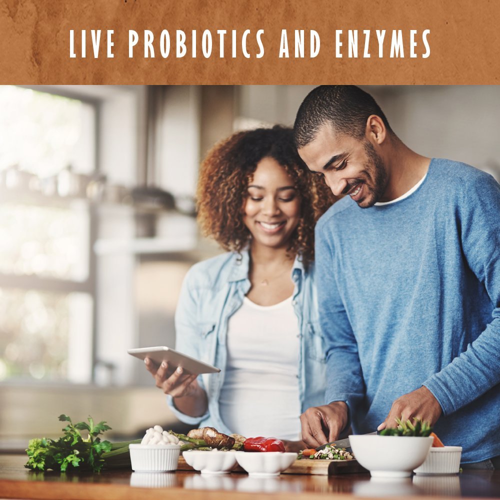 Garden of Life Organic Plant Protein Smooth Chocolate Powder, 10 Servings - Vegan, Grain Garden of Life buy supplements canada