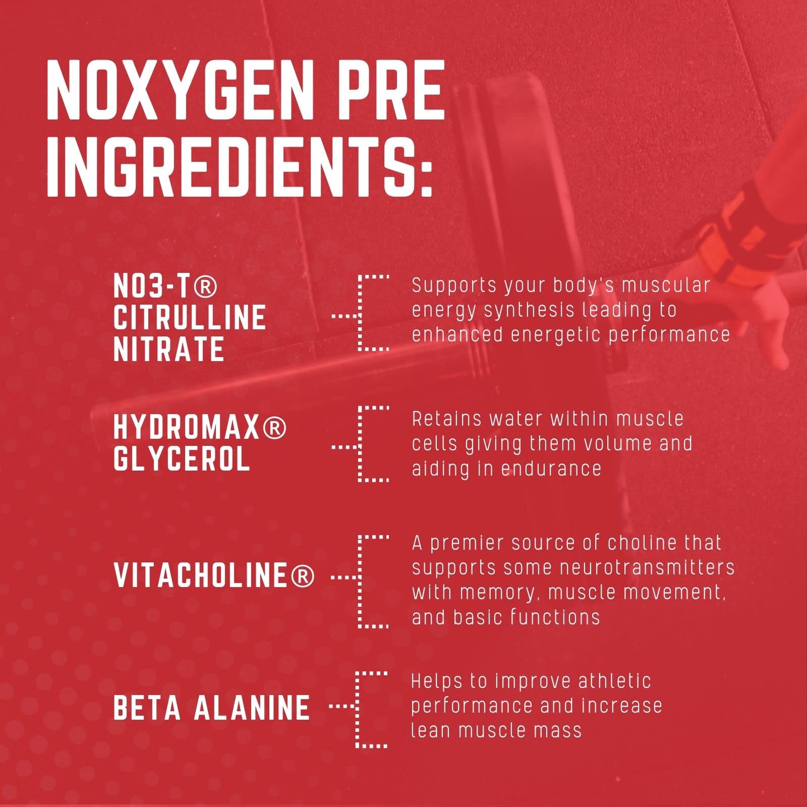 Purus Labs NOXYGEN PREWORKOUT Powder, 30 Servings (Blue Raspberry) Purus Labs buy supplements canada
