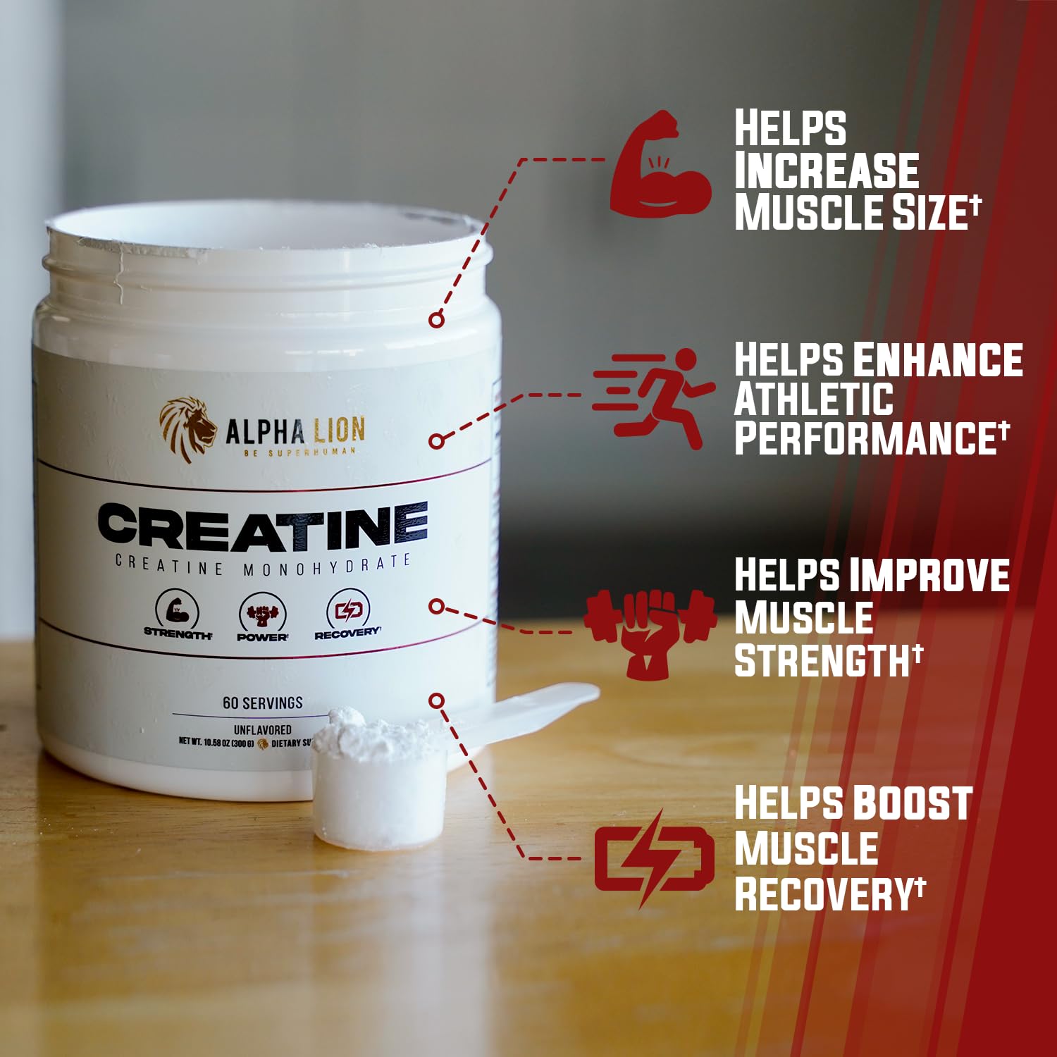ALPHA LION Creatine Monohydrate Powder, 5000mg Per Serving (5g), Supports Muscle Strength, Power, Athletic Performance, Pure Creatina Monohydrata ALPHA LION buy supplements canada