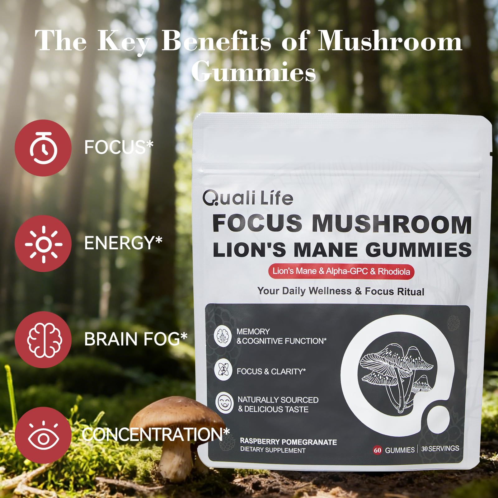 Mushroom Gummies with Lion’s Mane - Alpha Brain Gummy for Focus & Memory - Nootropic Focus Gummies with Rhodiola & Alpha-GPC – Vegan Brain Supplement, Raspberry Pomegranate Flavor, 60 Count (1) QualiLife buy supplements canada