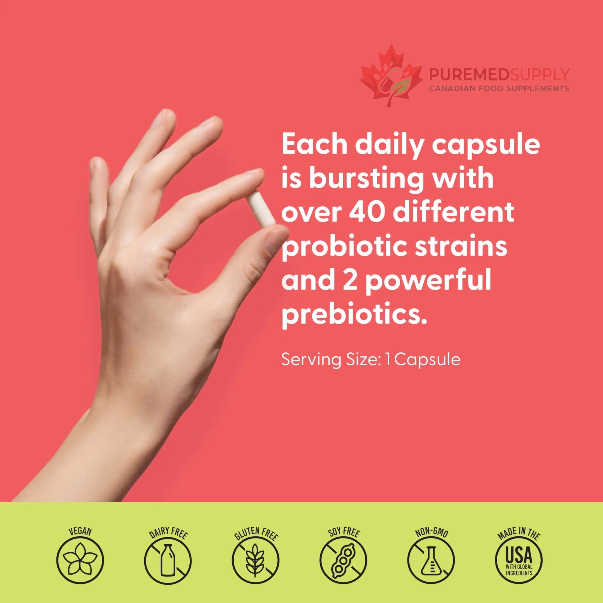 LIVELY VITAMIN CO. Great Guts Probiotic - 25 Billion CFU Probiotic - Balance Gut Microbiome, GI Tract, Inflammation, Indigestion, Reflux, Upset Stomach, & Diarrhea - 90 Caps LIVELY VITAMIN CO buy supplements canada
