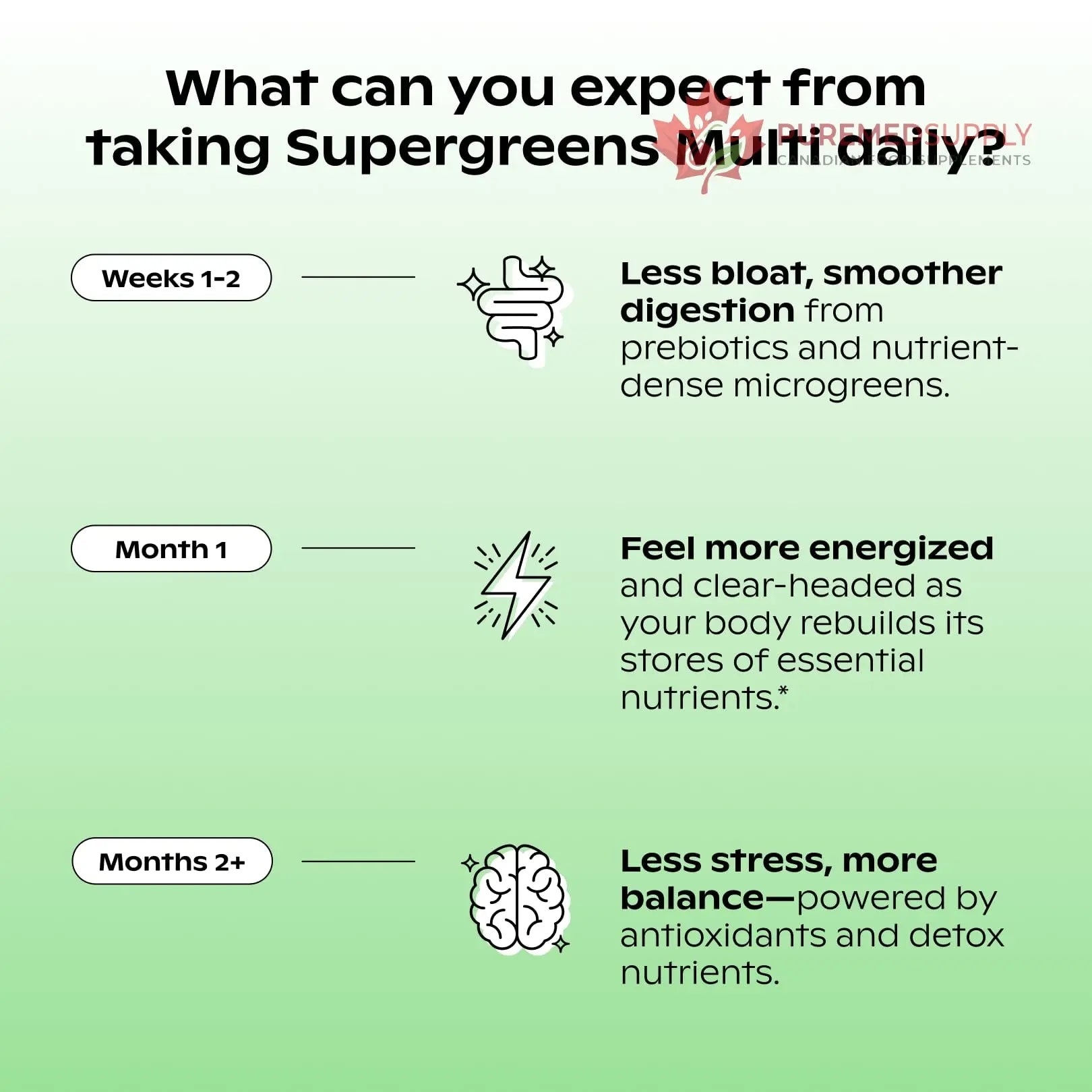 wholier Supergreens Multi, Daily Greens, Vegan Multivitamin for Women + Men, Whole Food Vitamins + Minerals, Prebiotics for Gut Health, Adaptogens (60 Vegan Capsules) Glass Bottle wholier buy supplements canada