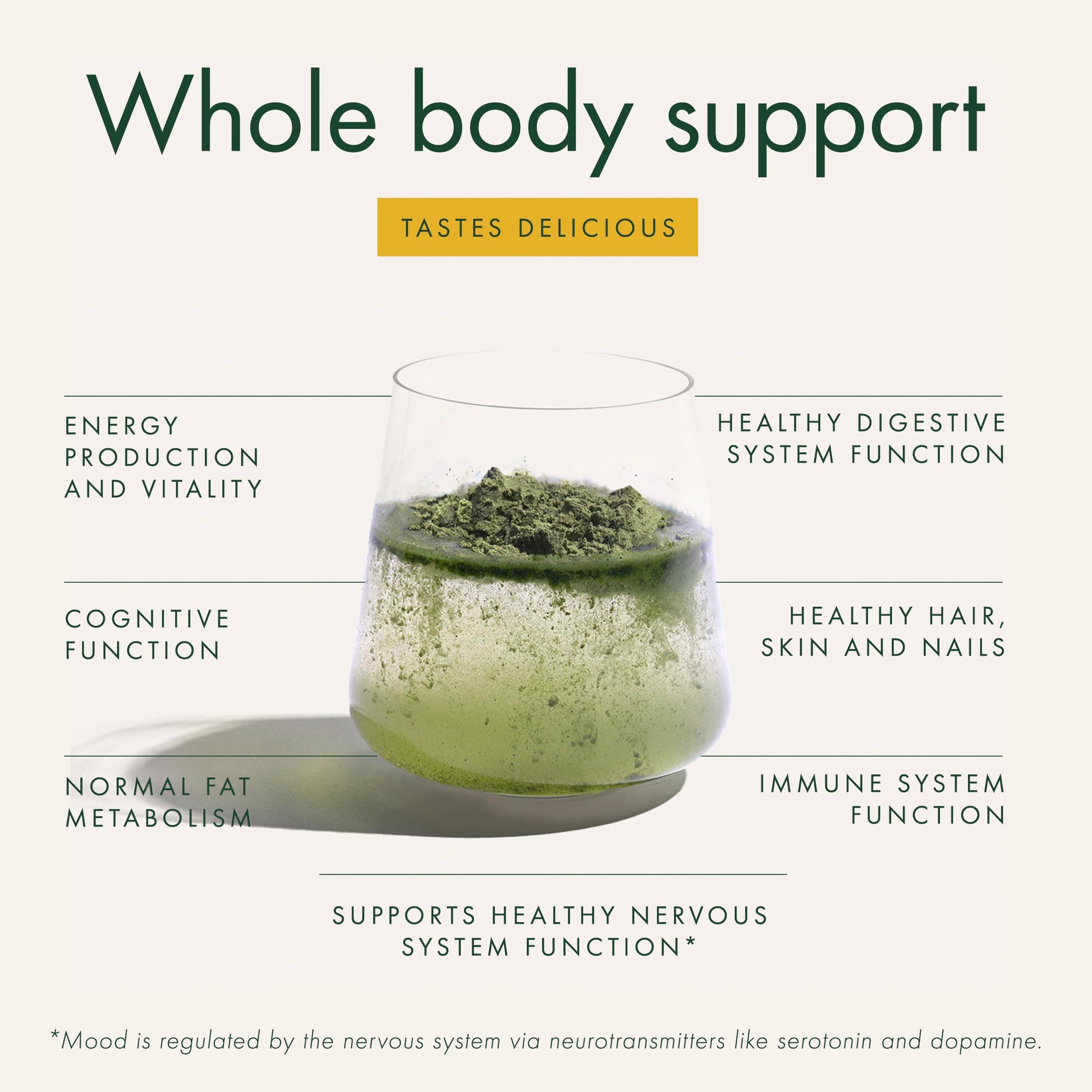 WelleCo The Super Elixir Daily Greens Powder, Probiotic Drink Mix with Whole Foods, Gluten Free, Vegan Gut Health Powder, Energy, Immunity, Healthy Skin, Hair & Nails (300g, Lemon Ginger) WelleCo buy supplements canada