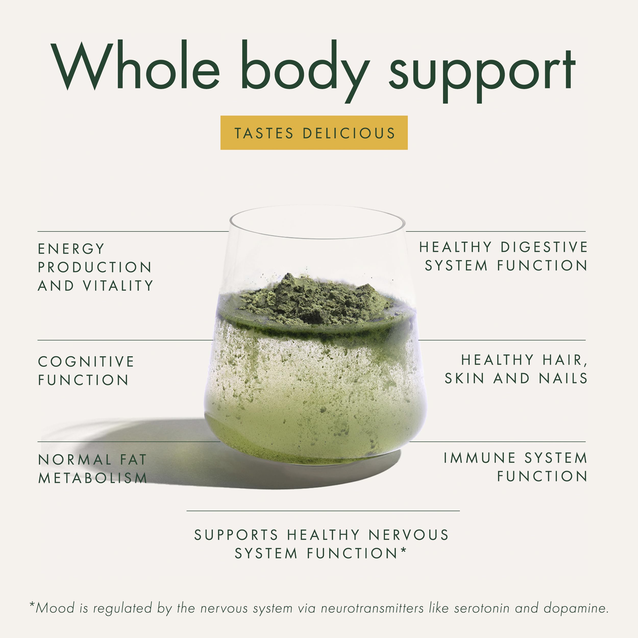 WelleCo The Super Elixir Daily Greens Powder, Probiotic Drink Mix with Whole Foods, Gluten Free, Vegan Gut Health Powder, Energy, Immunity, Healthy Skin, Hair & Nails (300g, Lemon Ginger) WelleCo buy supplements canada