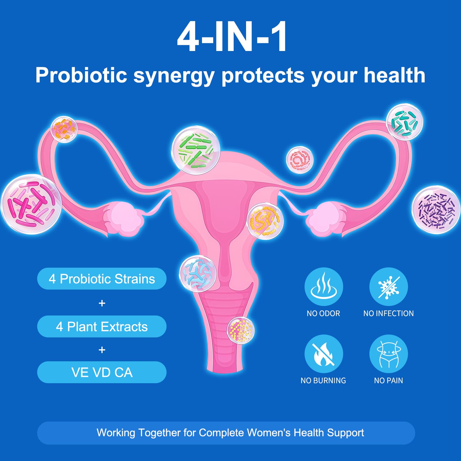 Natprime Menopause Supplements for Women - 60 Billion CFU Akkermansia Probiotic for Hormonal Balance, Night Sweats, Hot Flashes Relief, Gut Health, Mood Support & URO Viginal probiotic - 60 Ct 30 Day Natprime buy supplements canada