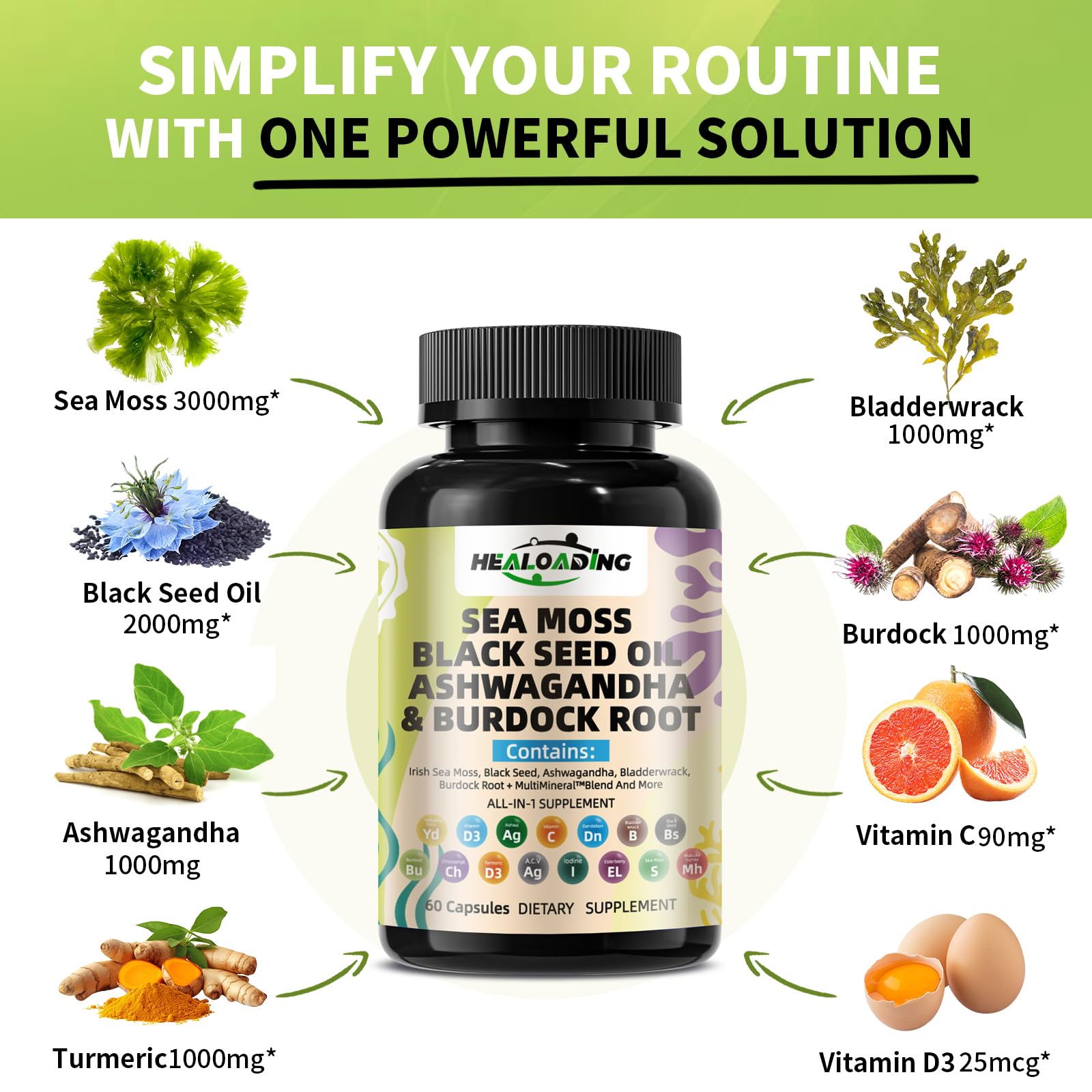 HEALOADING Sea Moss Capsules：Wildcrafted Organic Irish Seamoss & Bladderwack - Rich in Minerals, Supports Thyroid Health, Digestion, Skin & Immune System - Vegan, Non-GMO HEALOADING buy supplements canada