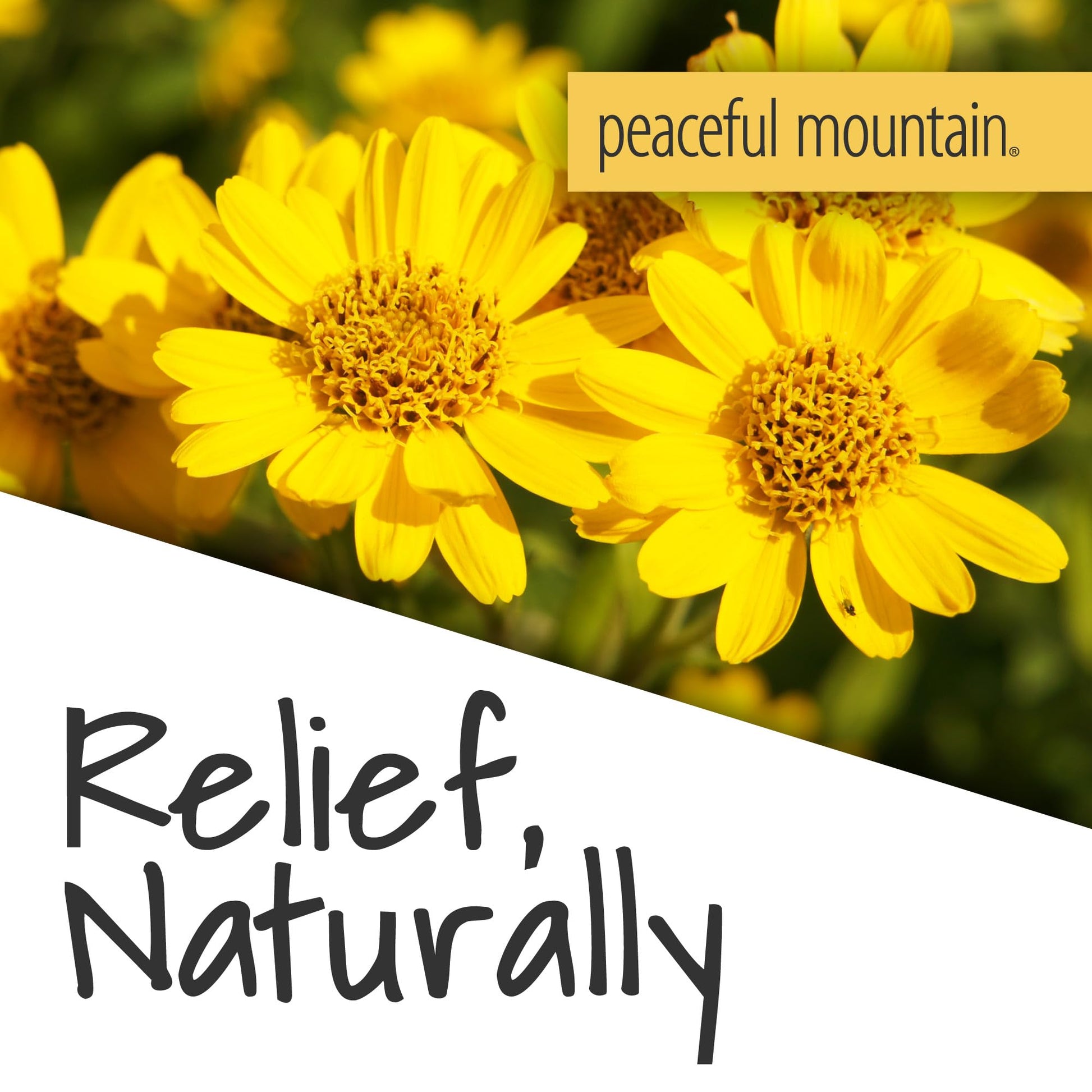 Peaceful Mountain Arnica Plus Homeopathic Gel - Natural Homeopthic Gel for Sore or cramping Muscles - 2oz Peaceful Mountain buy supplements canada