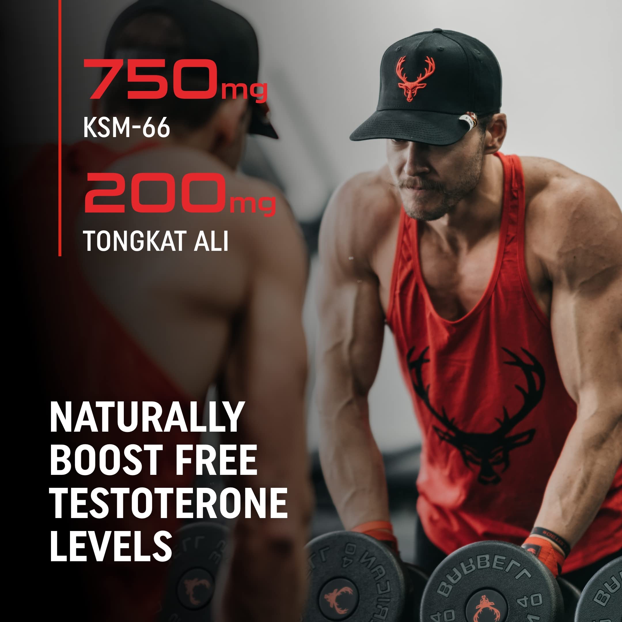 Bucked Up RUT - Testo Booster - Best All-Natural Test Formula for Men - Energy, Endurance, Strength, and Stamina Booster - Muscle Composition Aid - Male Supplements (90 Capsules/Pills) TyeinGo buy supplements canada