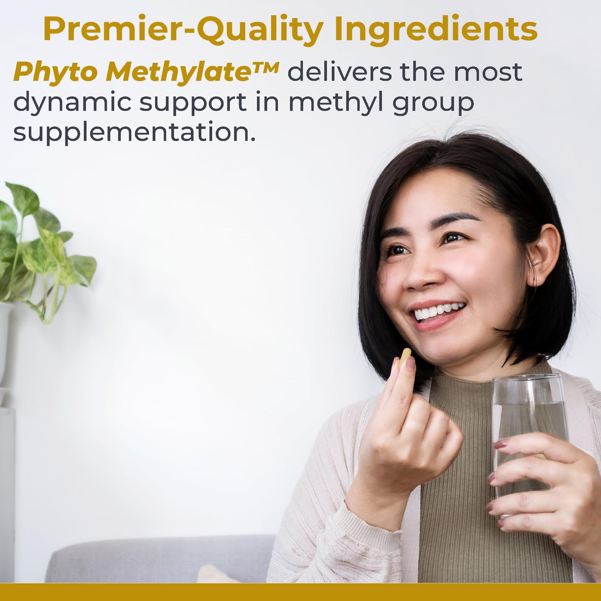Premier Research Labs Phyto Methylate - B Vitamin Supplement - Supports Methylation, Detox, Brain & Heart Health - 5-MTHF & P5P - 60 Plant-Source Capsules Premier Research Labs buy supplements canada