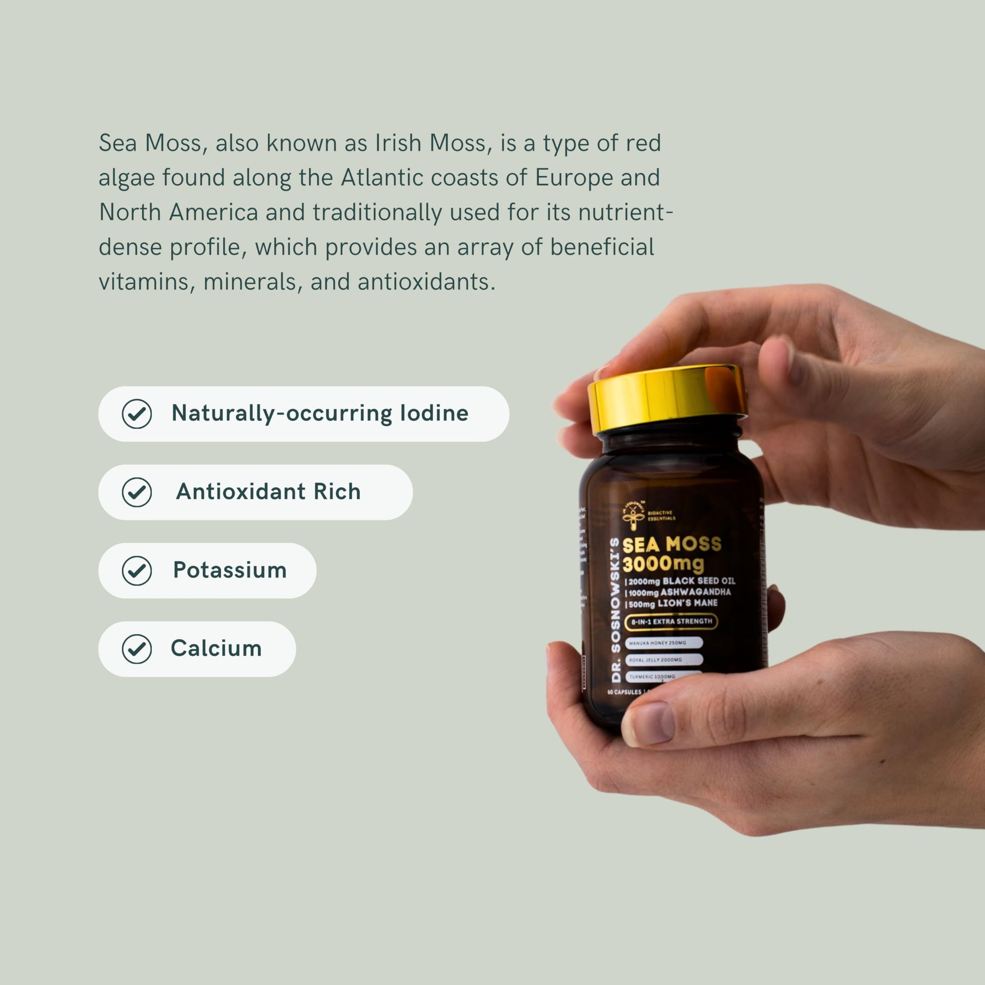 Dr Sosnowski's BioActive Sea Moss | 8-in-1 Formula Enriched with Black Seed, Ashwagandha, Turmeric, Manuka Honey, Lion's Mane, Royal Jelly, Bee Propolis Extract | 60 Capsules Dr Sosnowski's buy supplements canada