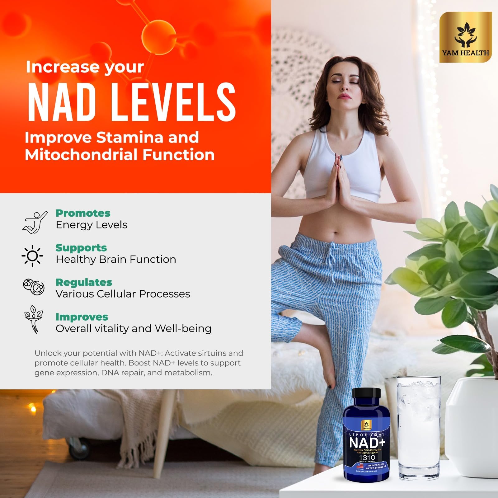 YAM Health Liposomal NAD Nicotinamide Riboside Equivalent with Trans-Resveratrol 300mg, Premium Halal NAD Supplement for Energy Metabolism, DNA Repair and Longevity, Vegan, Non-GMO (60 Count) YAM Health buy supplements canada