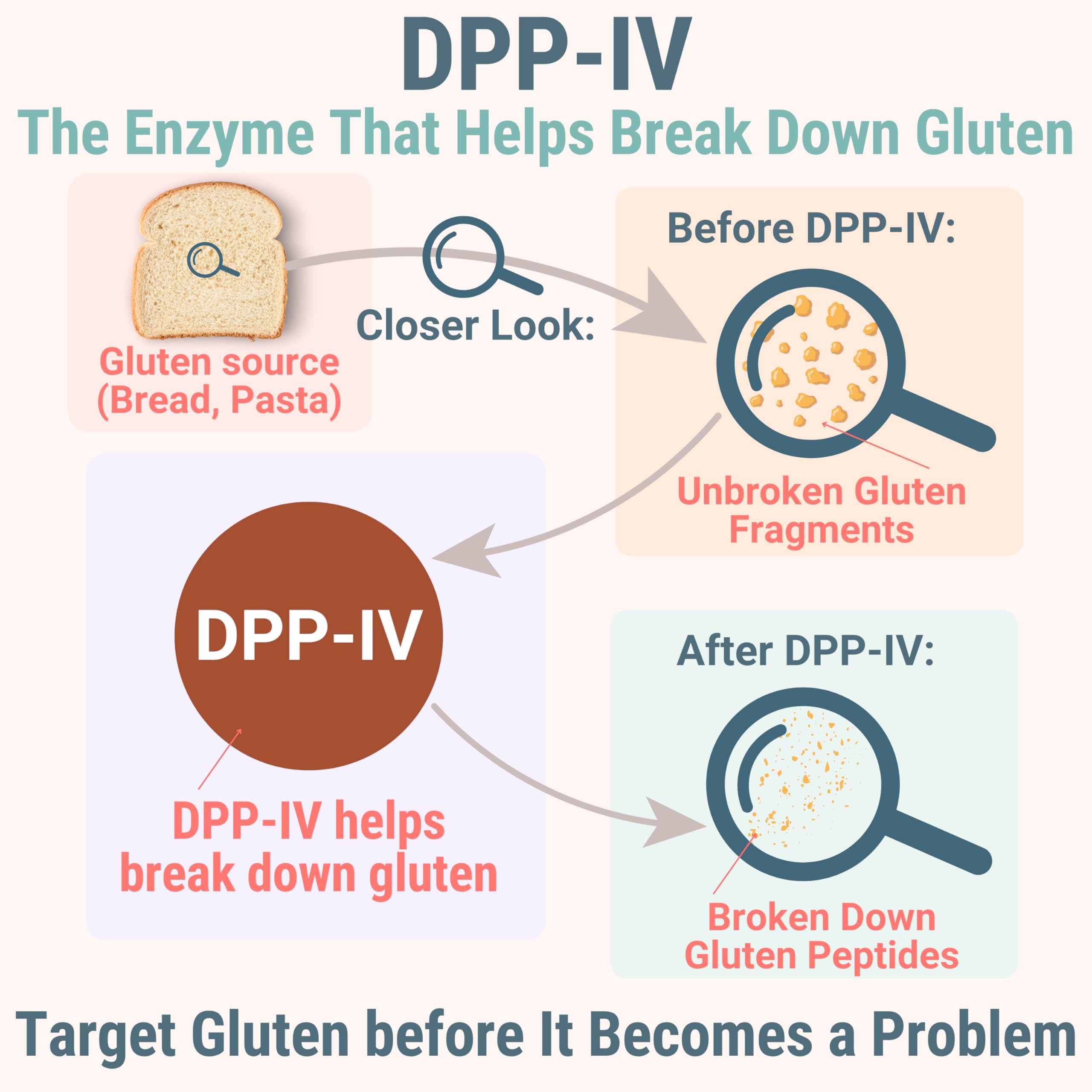 Gluten & Lactase Digestive Enzyme Gummies – Lactase Pancreatic Enzymes with DPP‑IV Lipase Gluco‑Amylase Lactase, Drops Chewables Capsules Pills Powder Supplement Alt, Pancreatic Support, for Kids SHIZAM buy supplements canada