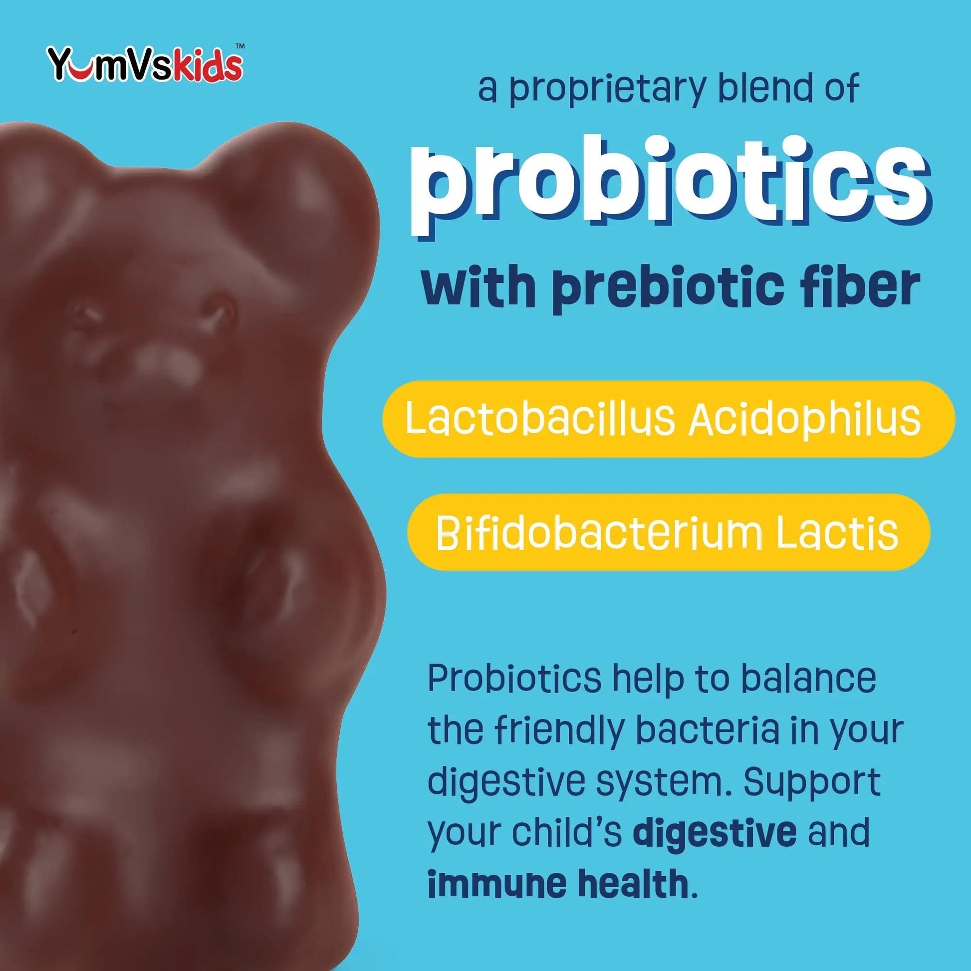 YUM-V'S Probiotics & Multivitamin Bundle for Kids – Probiotic with Prebiotic Fiber Chocolate Bears + Multivitamin & Multimineral with Iron Chewables – Digestive, Immune & Overall Health Support YUM-V'S buy supplements canada