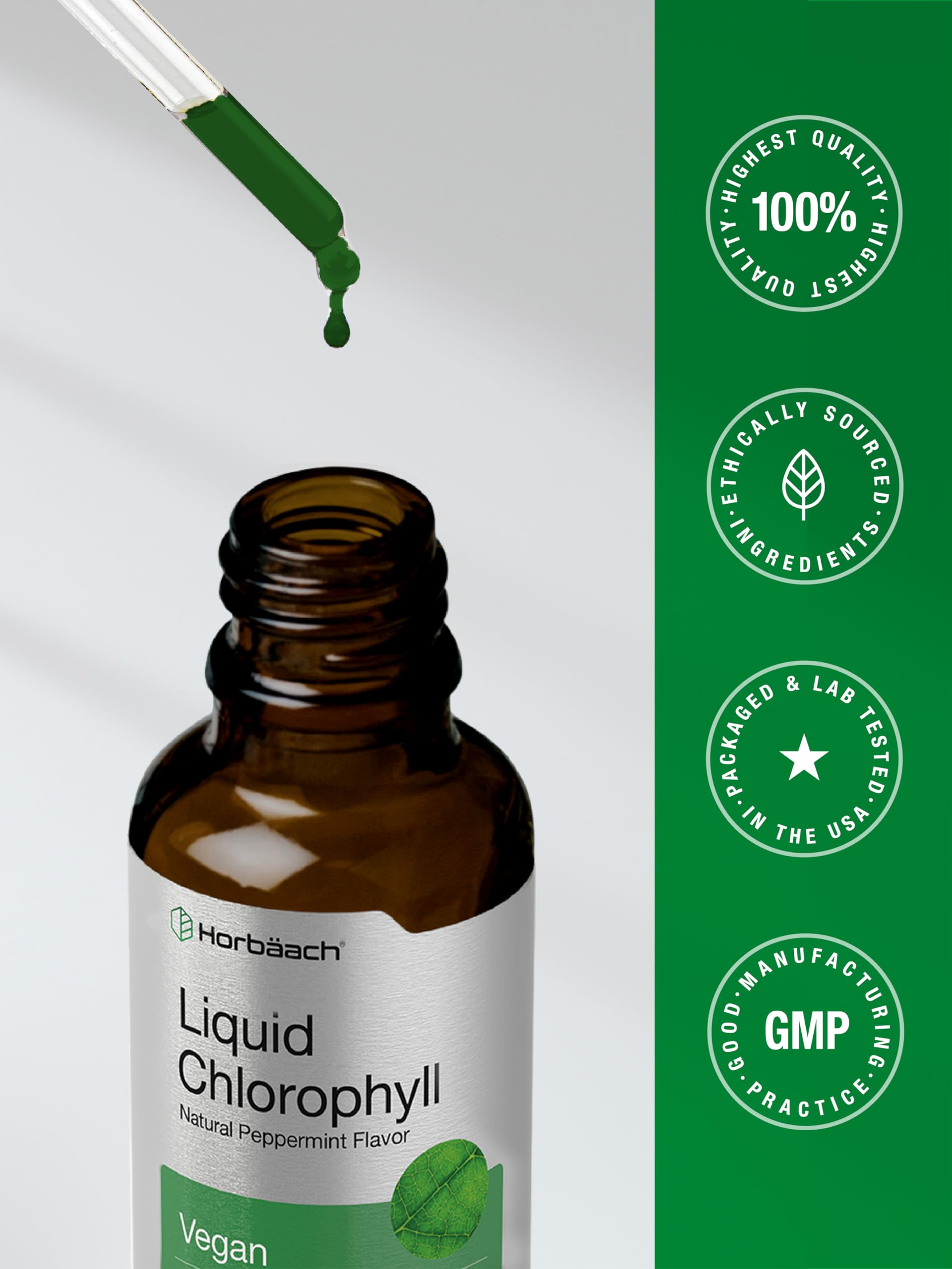 Horbäach Liquid Chlorophyll Drops | 2 oz | Vegan, Non-GMO, and Gluten Free Formula | Natural Peppermint Flavor Horbäach buy supplements canada