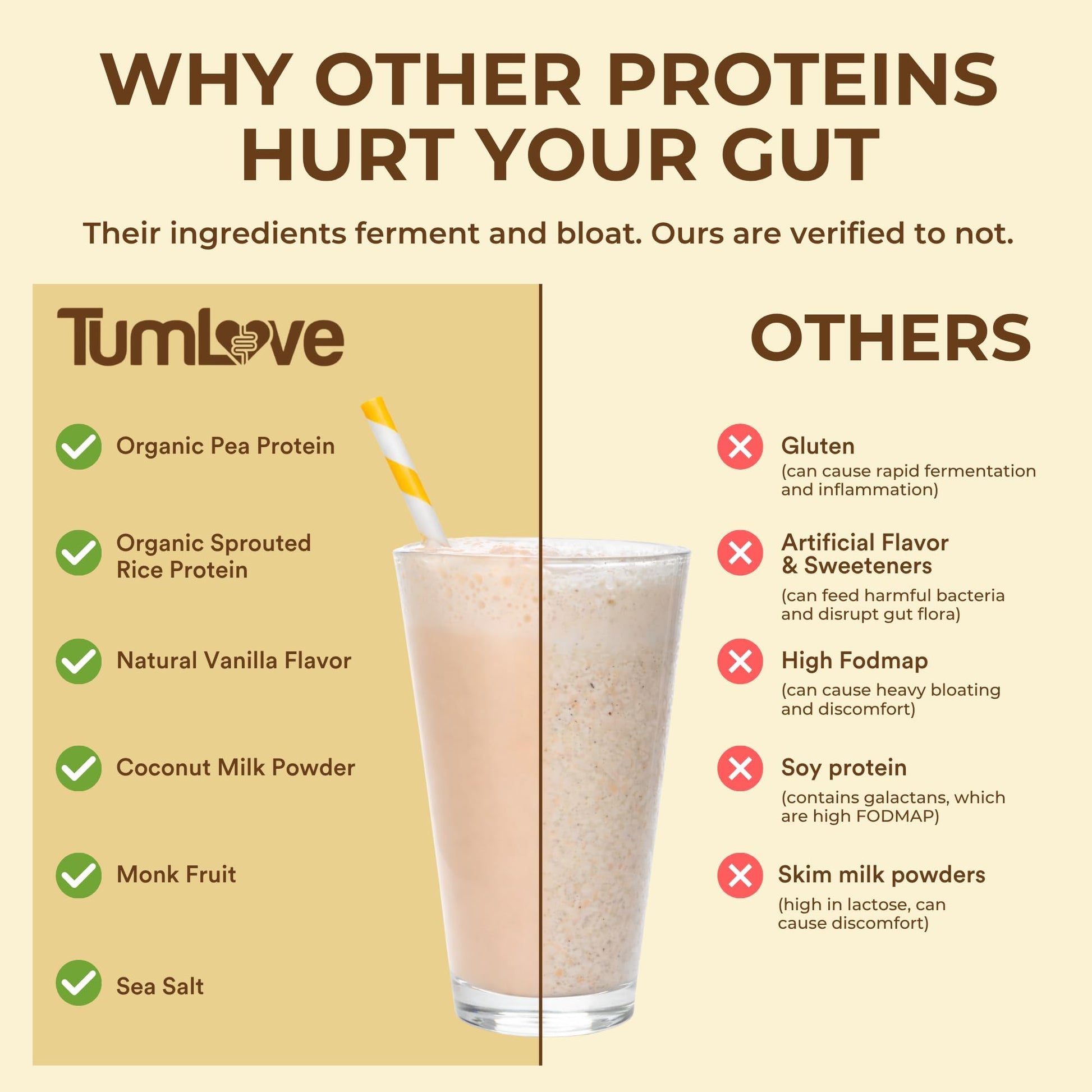 TumLove Vegan Protein Powder - Low FODMAP Certified, Gluten-Free, Dairy-Free, Soy-Free, 100% Gut-Friendly & Non-Bloating, Vanilla (25 Servings) TumLove buy supplements canada