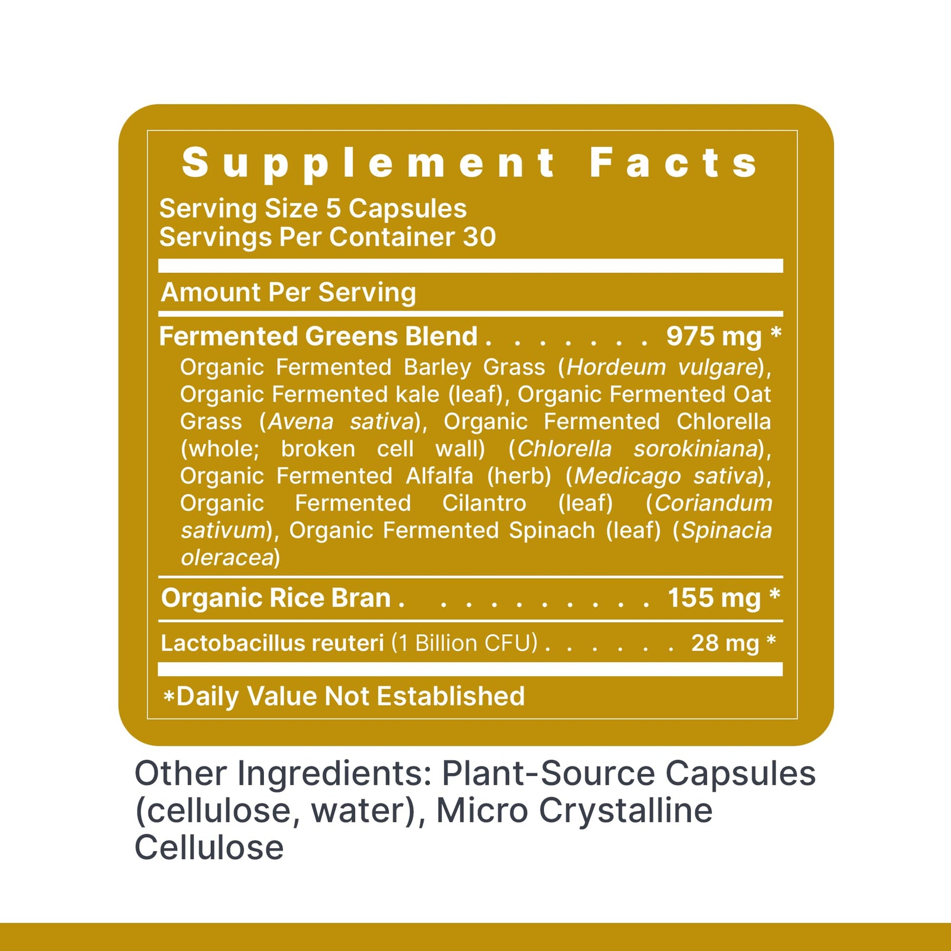Premier Research Labs Probiotic Fermented Greens - Super Greens Supplement, Superfood Blend, Organic Vitamins with Probiotic - Daily Greens with Spinach, Chlorella, & More - 150 Powder Filled Capsules Premier Research Labs buy supplements canada