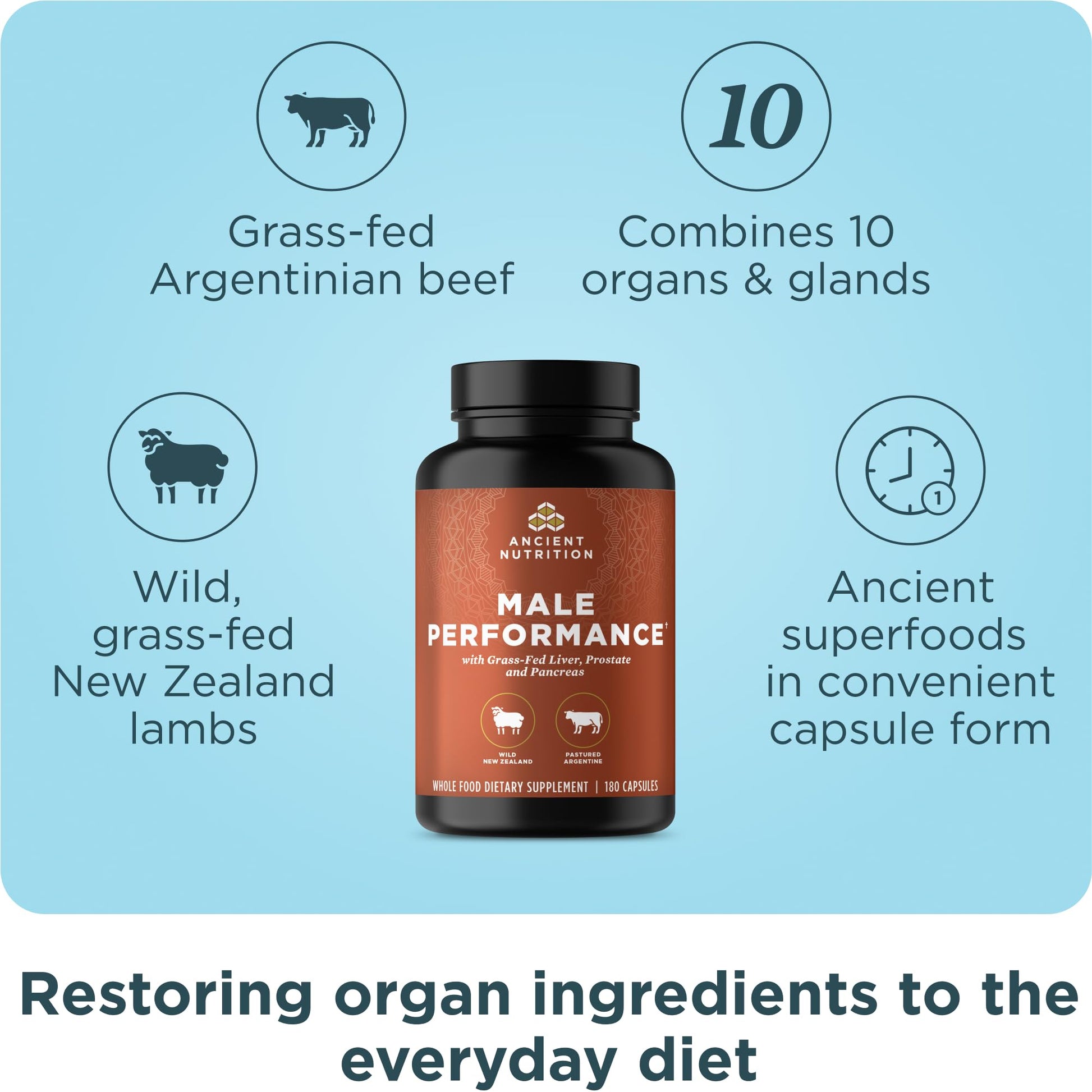 Ancient Nutrition Organ Supplements for Men, Grass-Fed and Wild Organ Complex Capsules, Liver, Prostate, Pancreas Supports Male Performance, Healthy Aging, 180 Ct Ancient Nutrition buy supplements canada