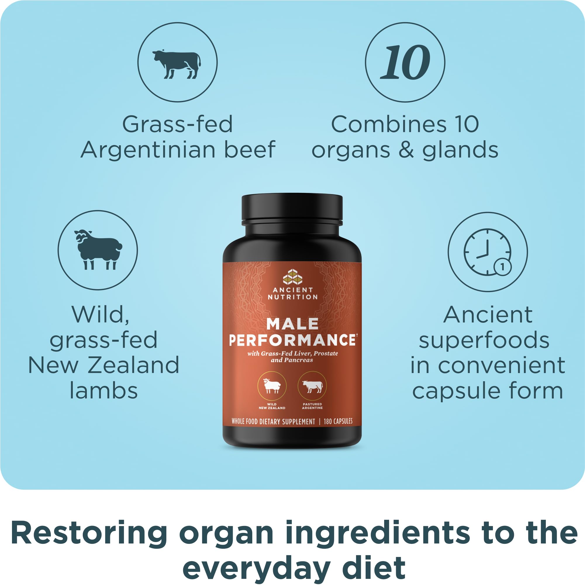 Ancient Nutrition Organ Supplements for Men, Grass-Fed and Wild Organ Complex Capsules, Liver, Prostate, Pancreas Supports Male Performance, Healthy Aging, 180 Ct Ancient Nutrition buy supplements canada