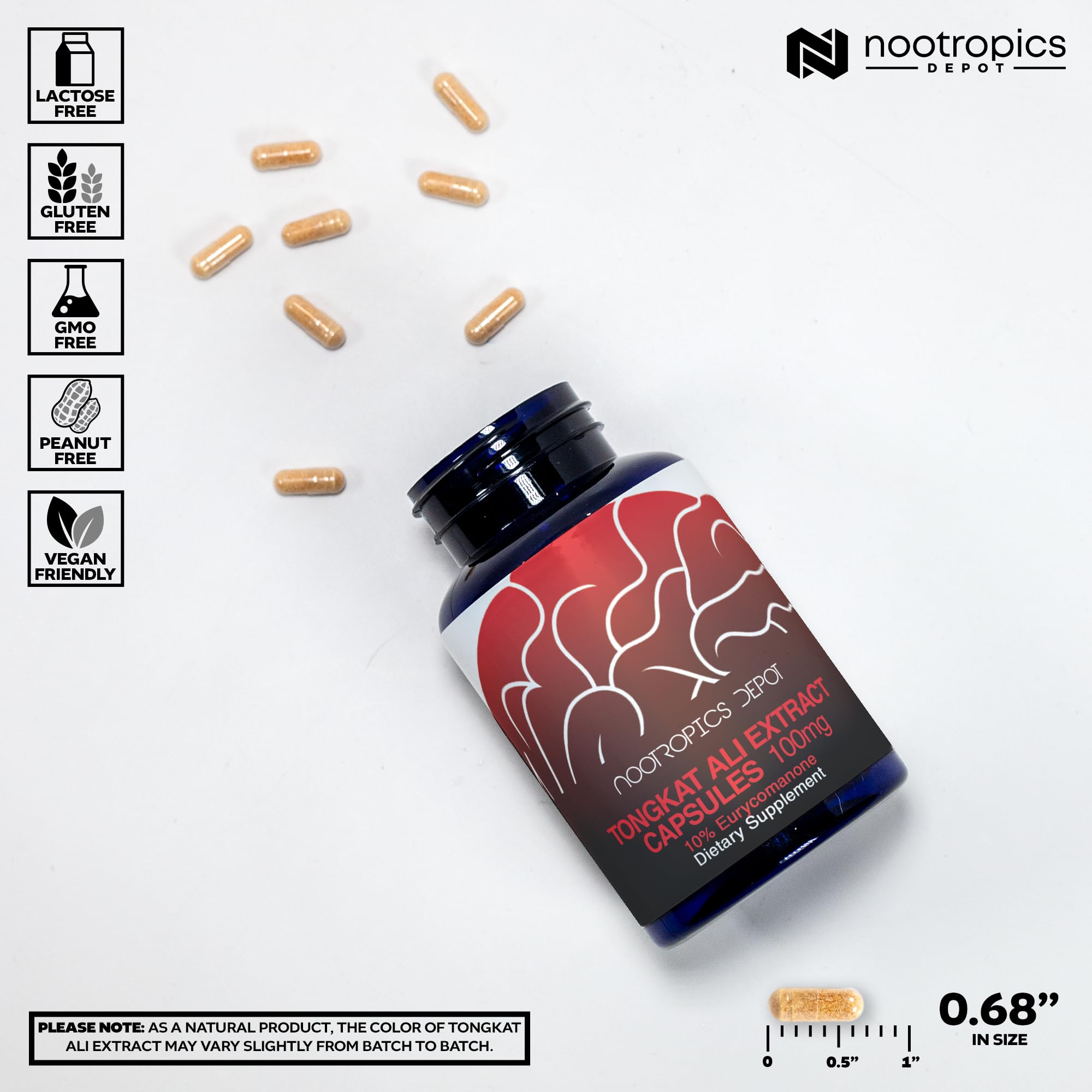 Depot Tongkat Ali Extract Capsules | 100mg | 60 Count | 10% Eurycomanone by HPTLC | Eurycoma longifolia Root Extract Nootropics Depot buy supplements canada