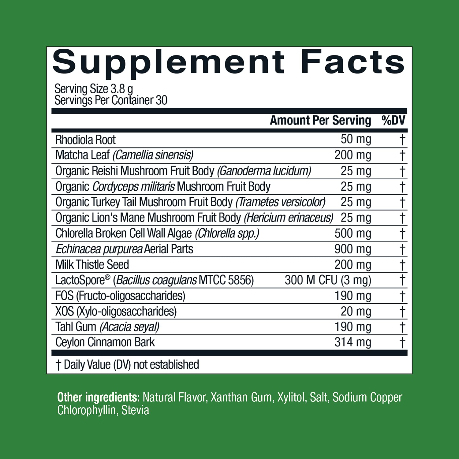 Live Conscious Beyond Greens Concentrated Superfood Powder - Matcha Flavor w/Chlorella, Echinacea, Probiotics for Immune Support & Energy - 30 Servings (2-Pack) Live Conscious buy supplements canada