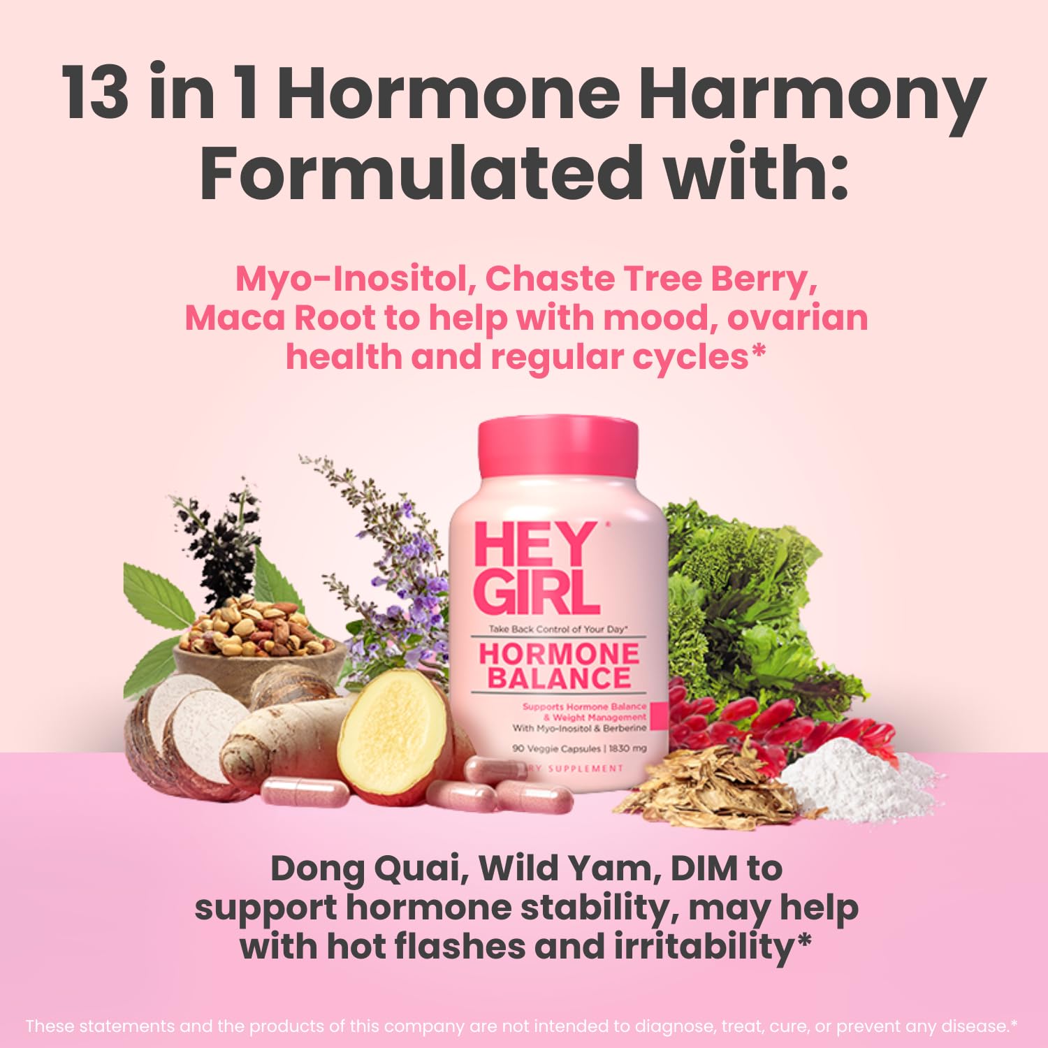 Hey Girl Hormone Balance for Women – 13-in-1 Menopause, PMS & Cycle Support – Mood & Hot Flash Support – w Myo-Inositol, Berberine, Maca Root, Black Cohosh, DIM, Dong Quai HEY GIRL NUTRITION buy supplements canada