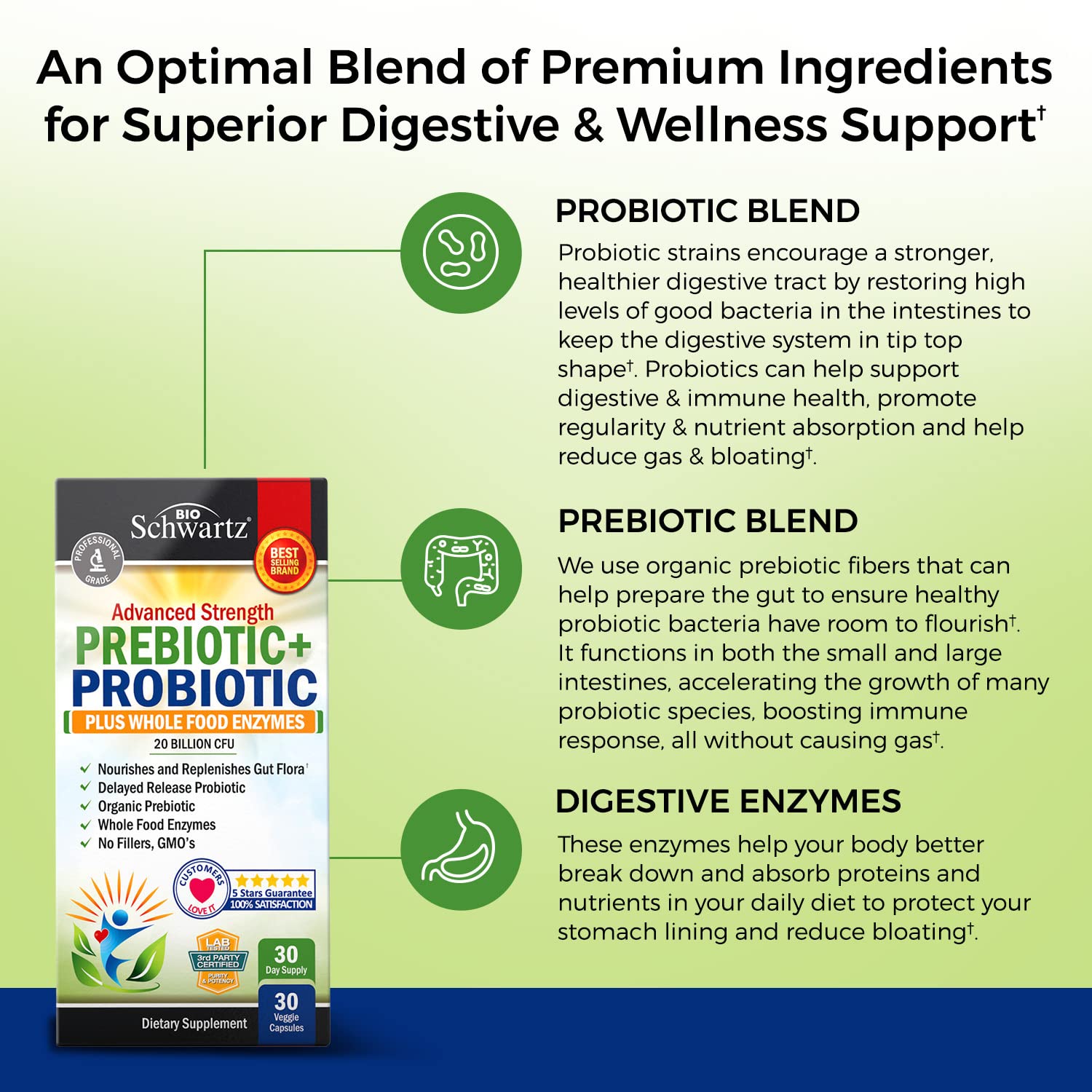 Probiotic & Prebiotic Digestive Health Capsules - 30ct, Gluten & Dairy Free, Non-GMO BioSchwartz buy supplements canada