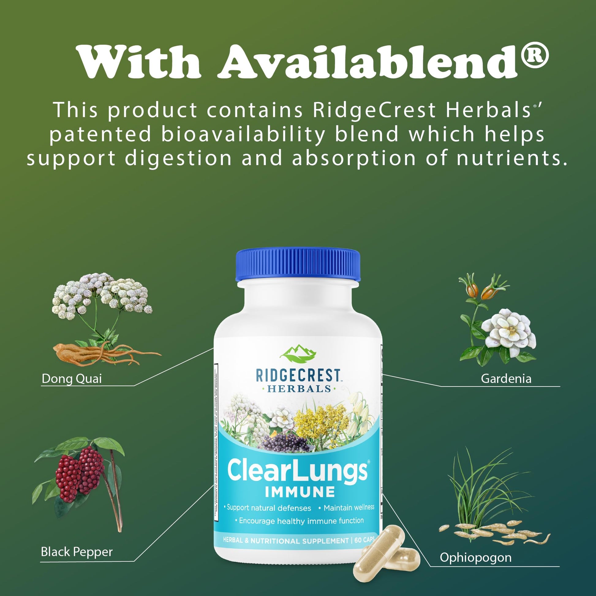 RidgeCrest Herbals ClearLungs Immune, Lung Support Supplement with Elderberry, Zinc, Vitamin C, Vitamin A, Olive Leaf, Mullein, Lung Wellness Formula for Respiratory Health (60 Vegan Caps, 30 Serv) RidgeCrest Herbals buy supplements canada