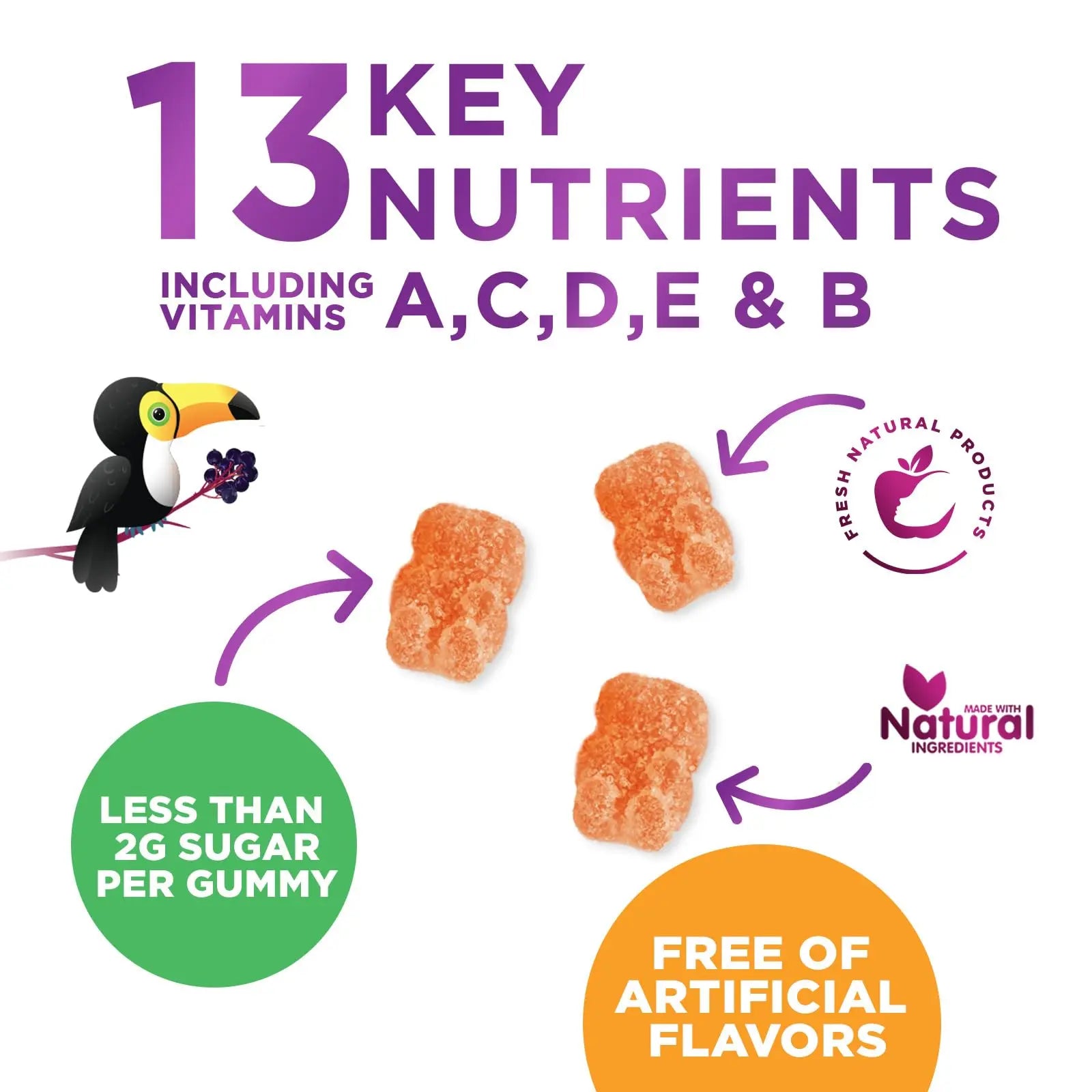Multivitamin for Kids - Complete Daily Children's Multi Vitamin Gummies with Vitamin D, B Vitamins, Zinc & More - Energy, Memory Focus Nature's Nutrition buy supplements canada
