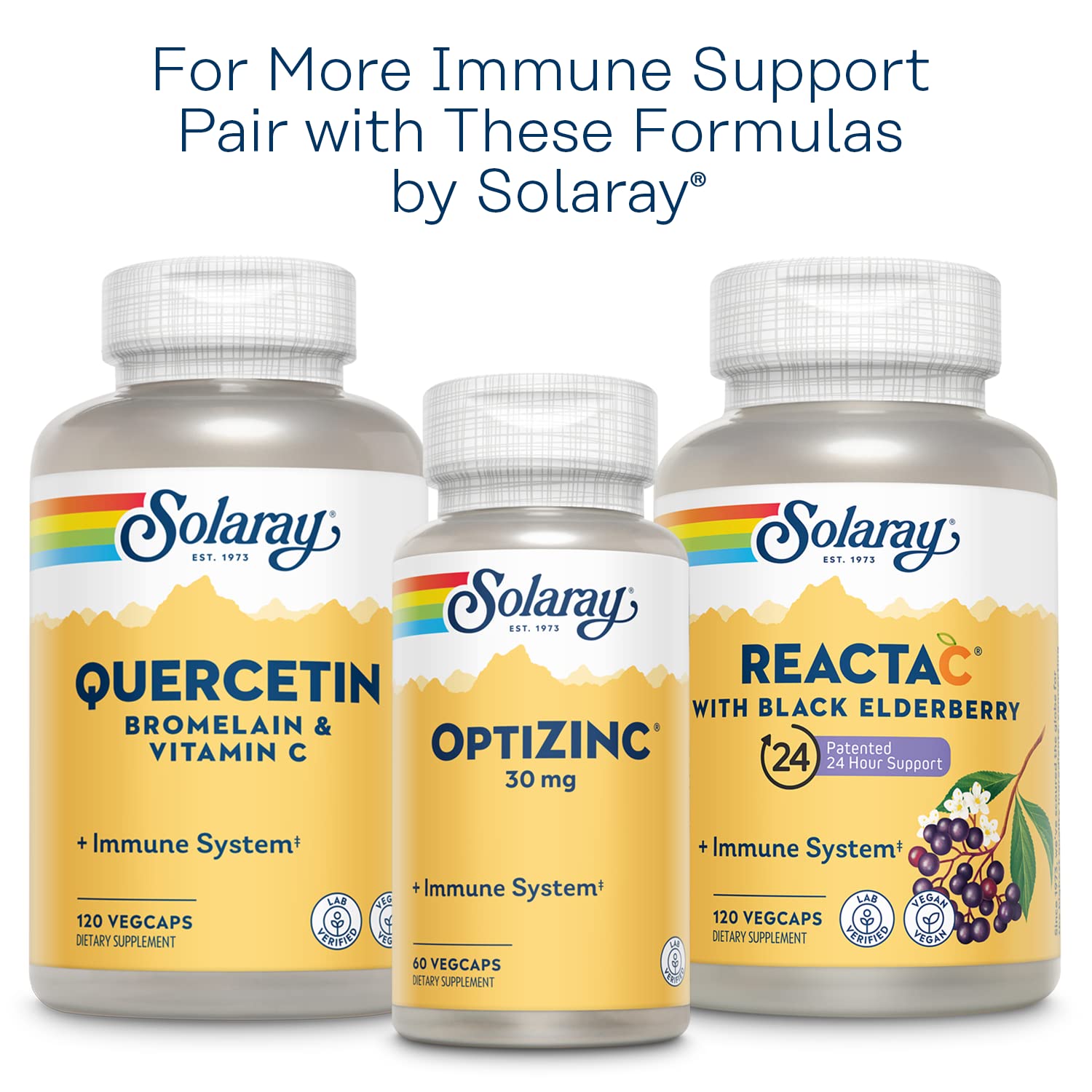 SOLARAY L-Lysine Monolaurin Immune Support Supplement, 1:1 Ratio for Immune System Function, 500 mg Each, 60-Day Money Back Guarantee SOLARAY buy supplements canada