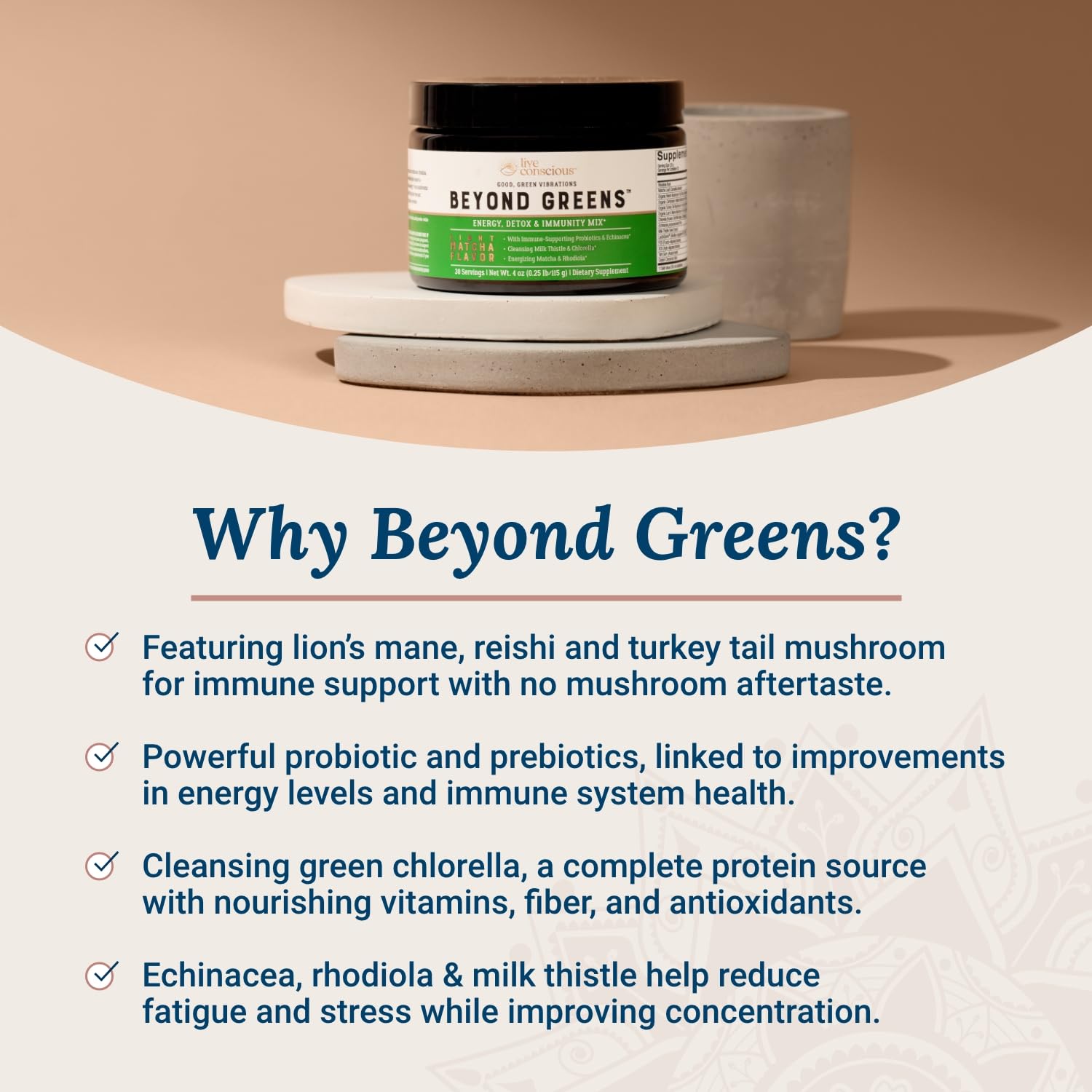Live Conscious Beyond Greens Concentrated Superfood Powder - Matcha Flavor w/Chlorella, Echinacea, Probiotics for Immune Support & Energy - 30 Servings (2-Pack) Live Conscious buy supplements canada