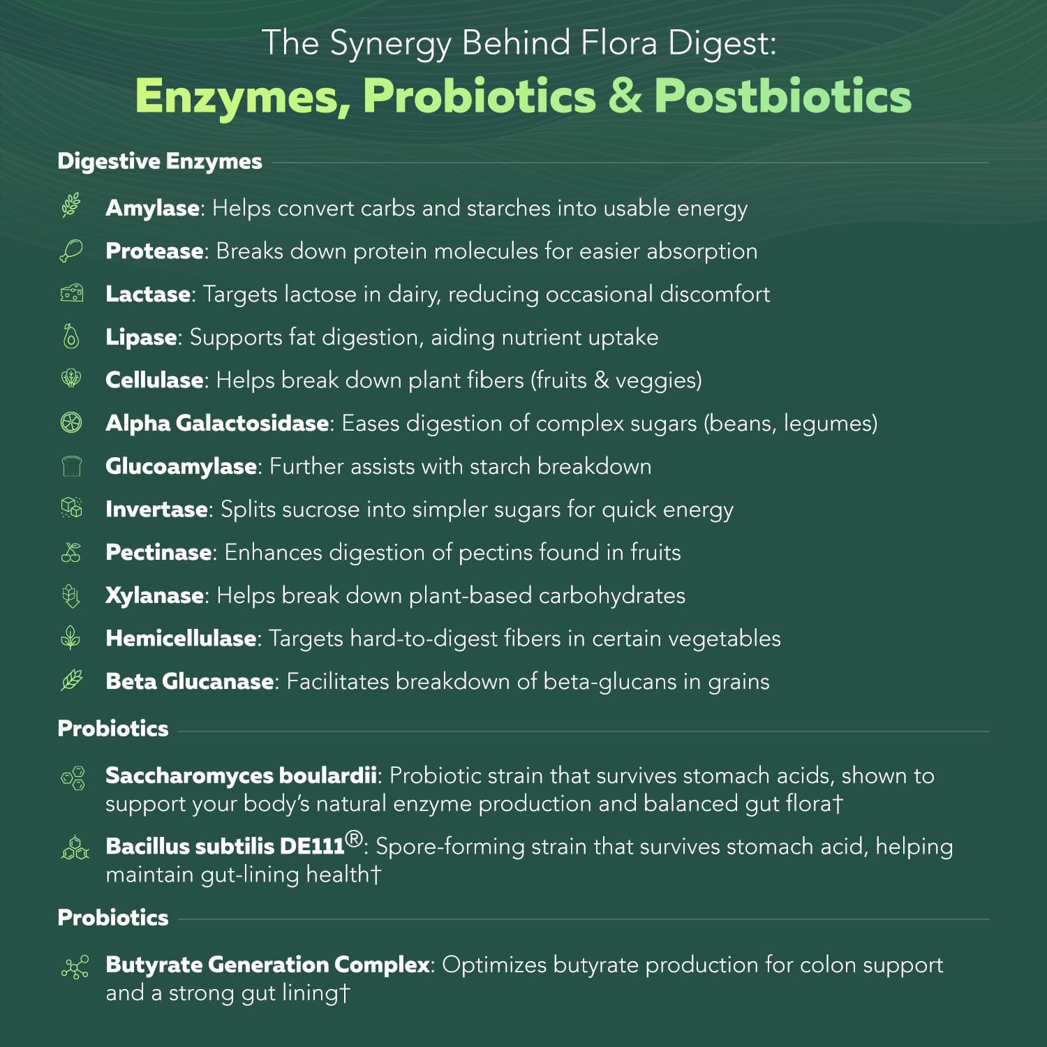 Flora Digest - 3-in-1 Max Strength Digestive Enzymes + Gut Surviving Probiotics & ButyraGen® Postbiotic for Optimal Digestion, Bloating Relief, Regularity, Gut Lining & Colon Support - (60 Capsules) Triquetra Health buy supplements canada