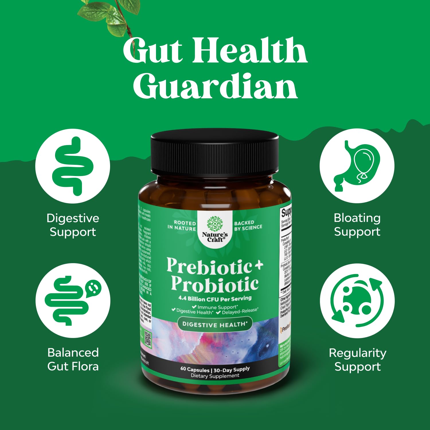 Prebiotics and Probiotics Gut Health Supplement-Super Potent Digestive Health Acidophilus Probiotic Capsules with Men & Womens Probiotics & Prebiotics Natures Craft buy supplements canada