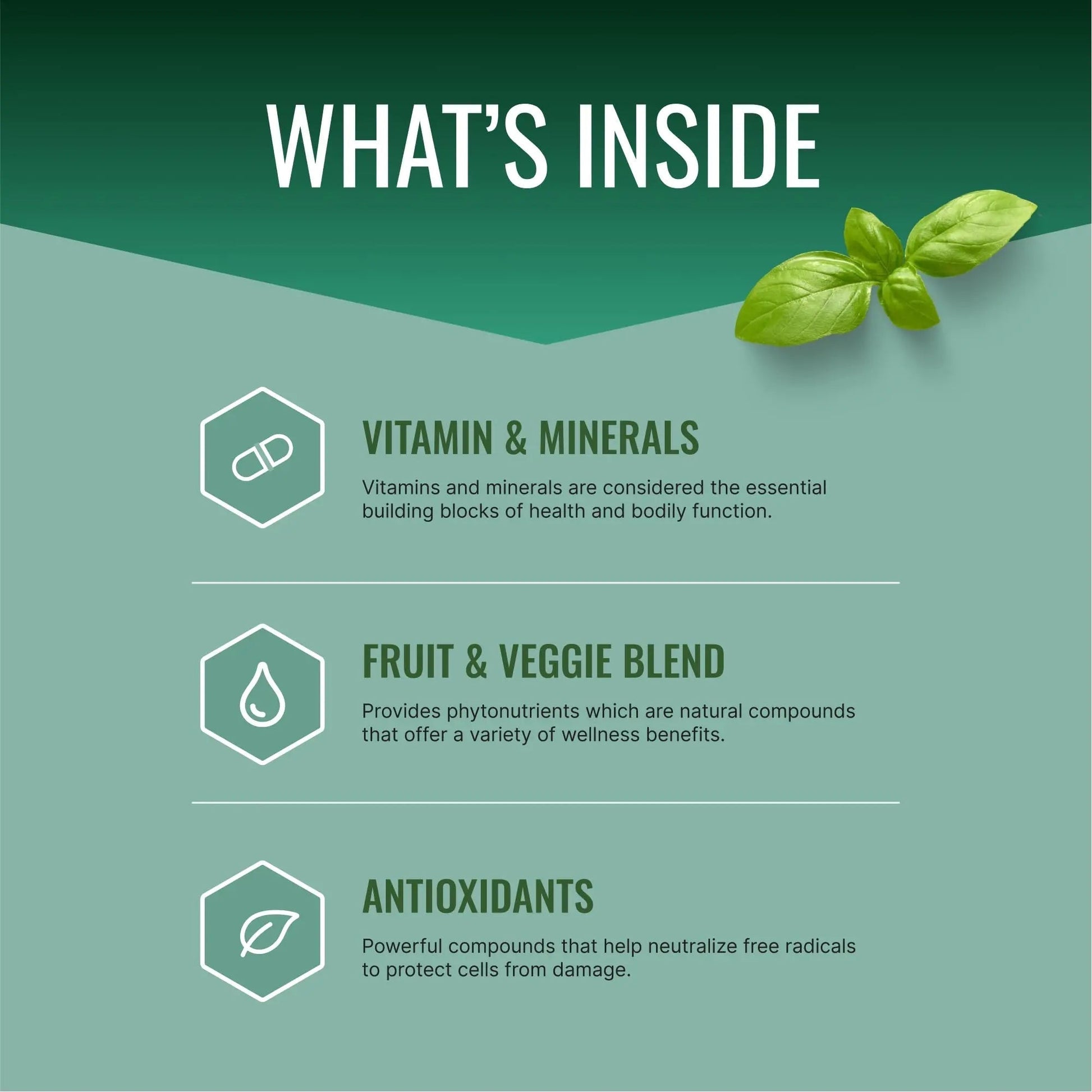 Approved Science Multi-Vitamin - with Full-Spectrum B-Vitamins, Green Tea, Lutein, Lycopene, Zeaxanthin, BioPerine Approved Science buy supplements canada