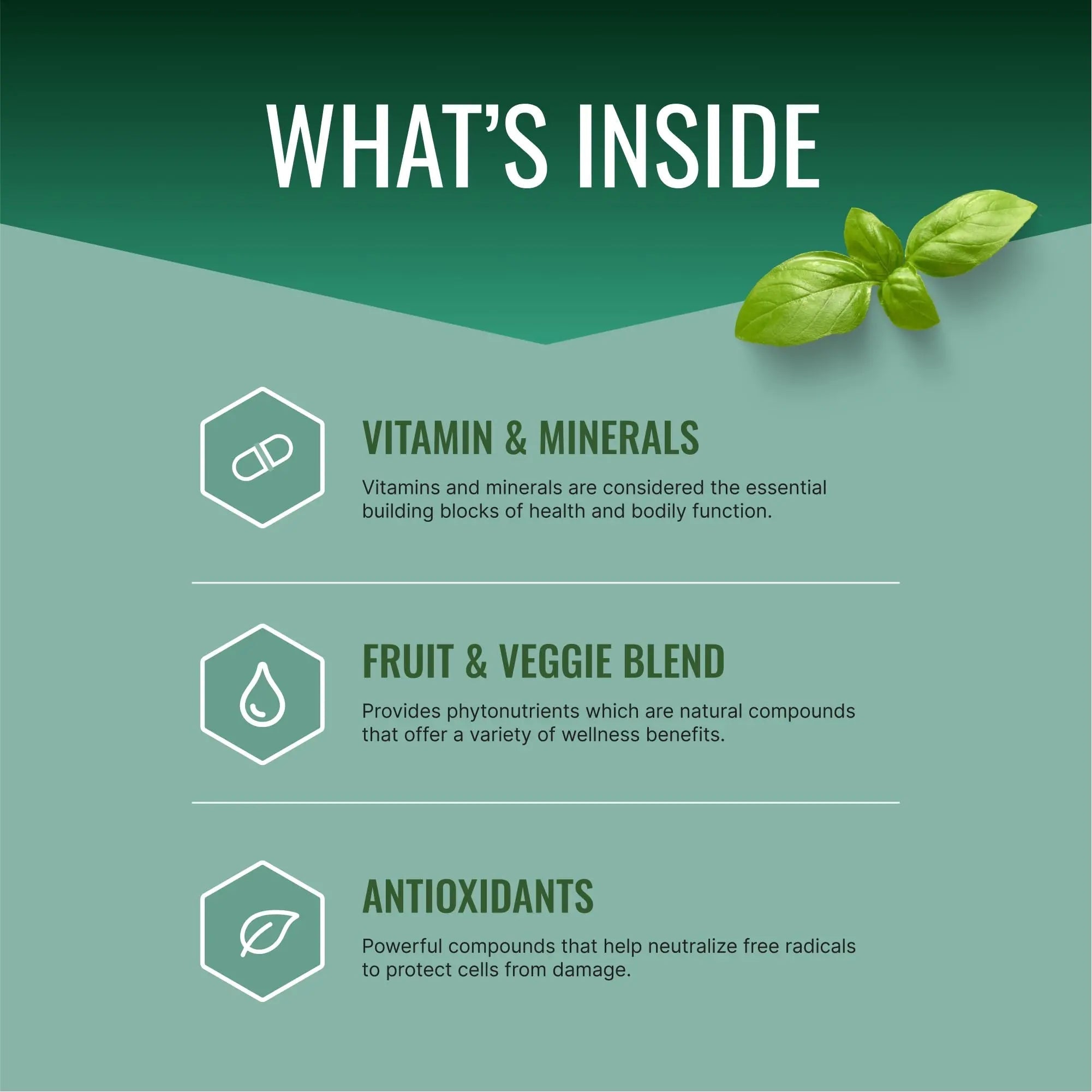 Approved Science Multi-Vitamin - with Full-Spectrum B-Vitamins, Green Tea, Lutein, Lycopene, Zeaxanthin, BioPerine Approved Science buy supplements canada